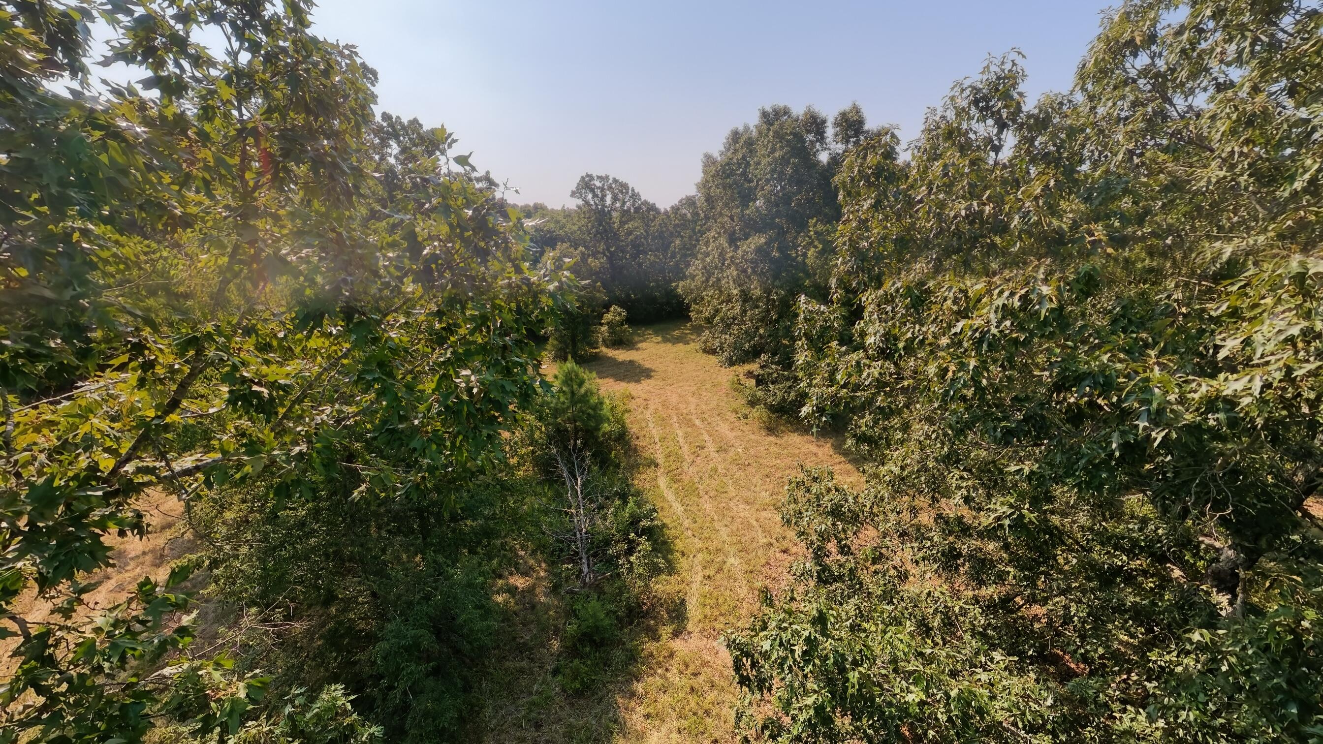 Photo 11 - Land for sale – 000  Highway 62/412   Highland, AR