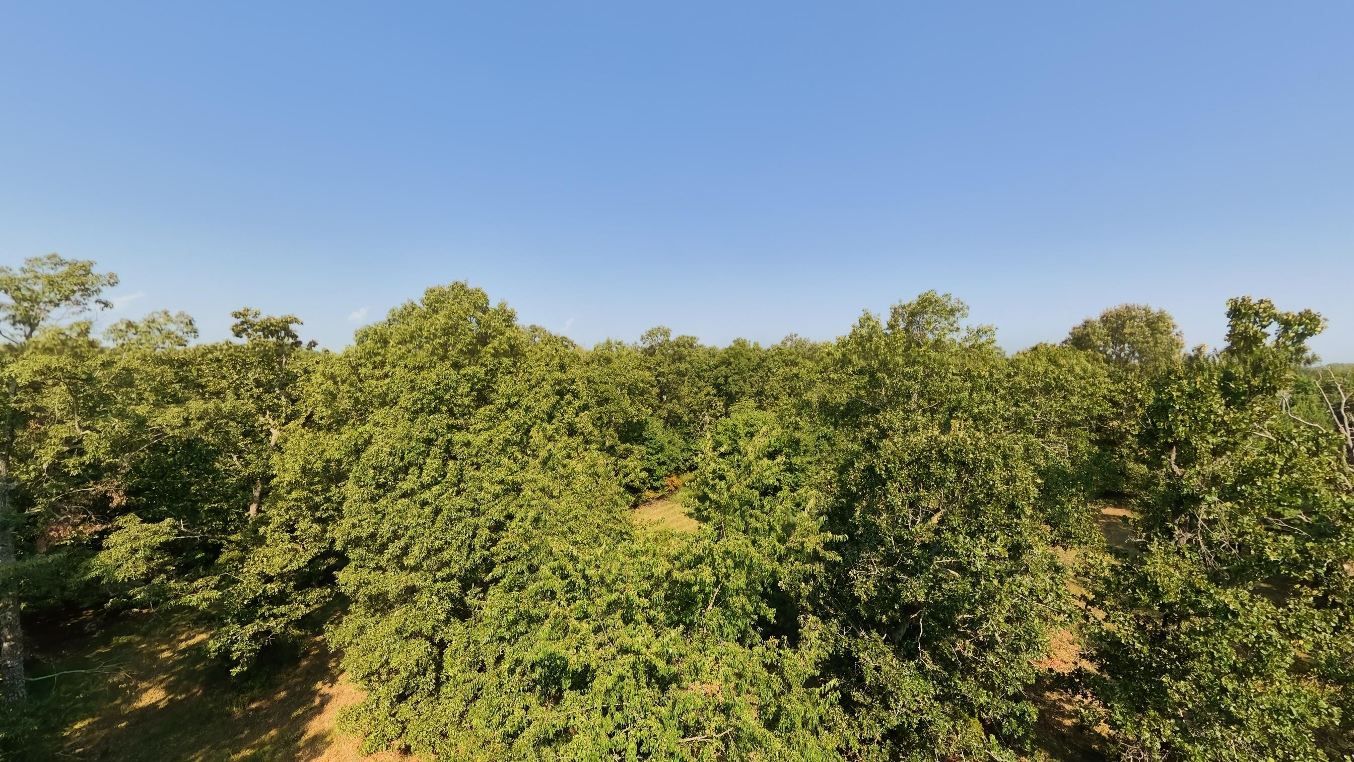 Photo 17 - Land for sale – 000  Highway 62/412   Highland, AR