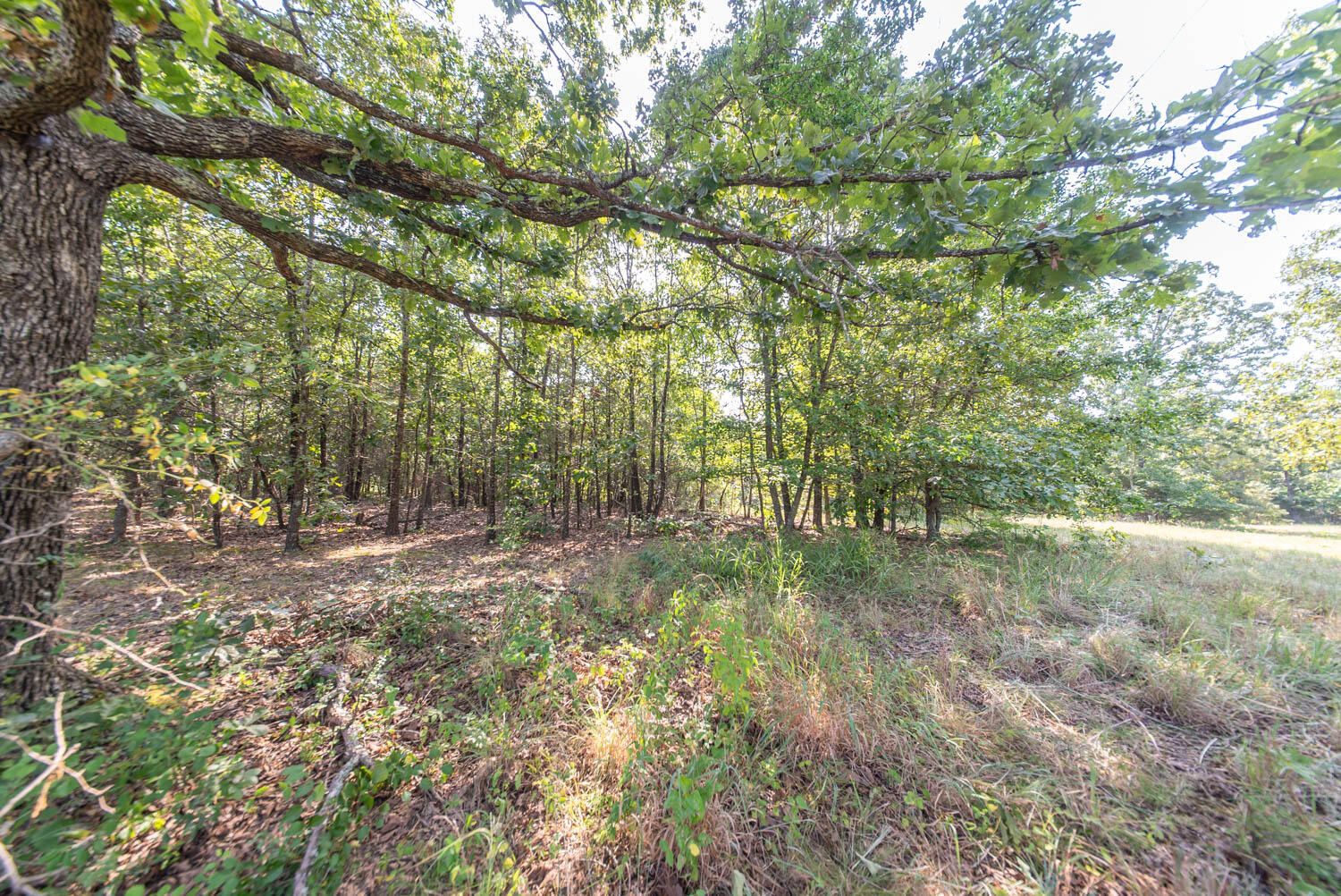 Photo 26 - Land for sale – 000  Highway 62/412   Highland, AR