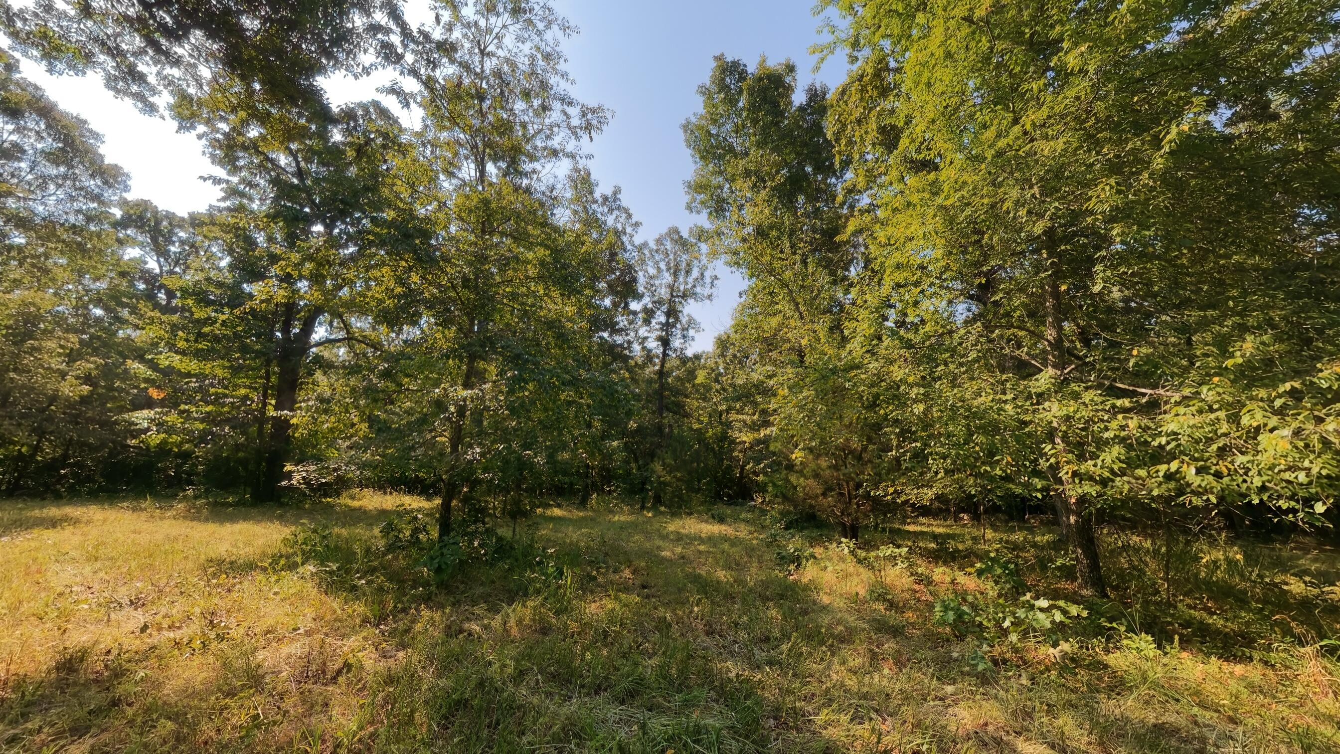 Photo 21 - Land for sale – 000  Highway 62/412   Highland, AR