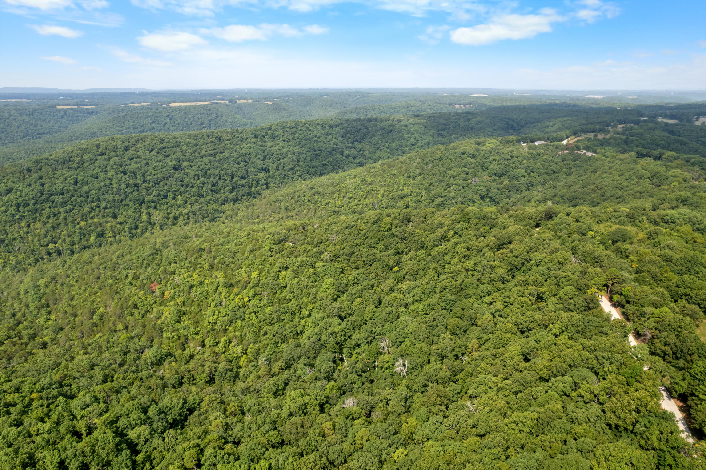 Photo 23 - Land for sale – 000  Pine Top Road  Hollister, MO