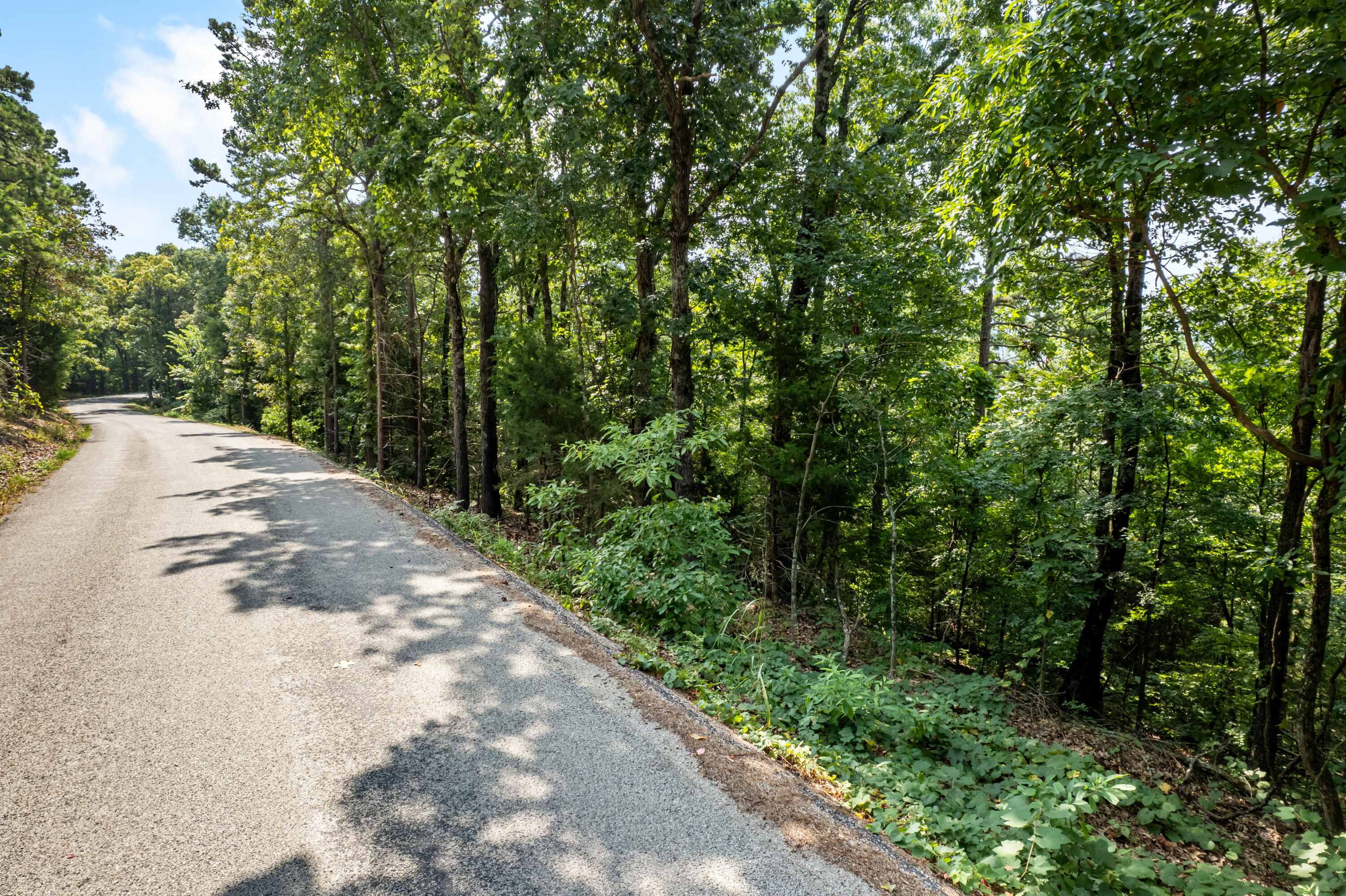 Photo 32 - Land for sale – 000  Pine Top Road  Hollister, MO