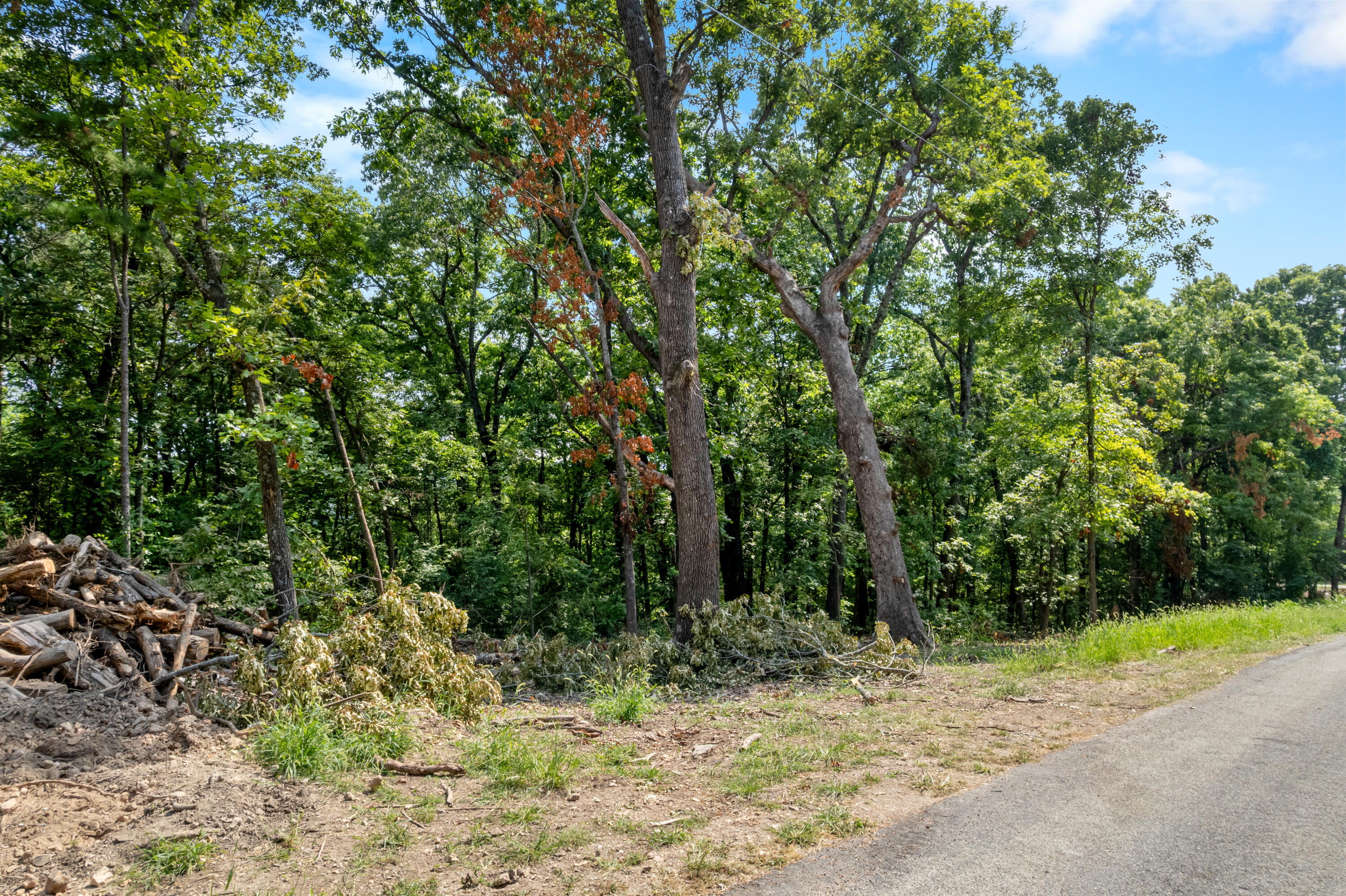 Photo 27 - Land for sale – 000  Pine Top Road  Hollister, MO