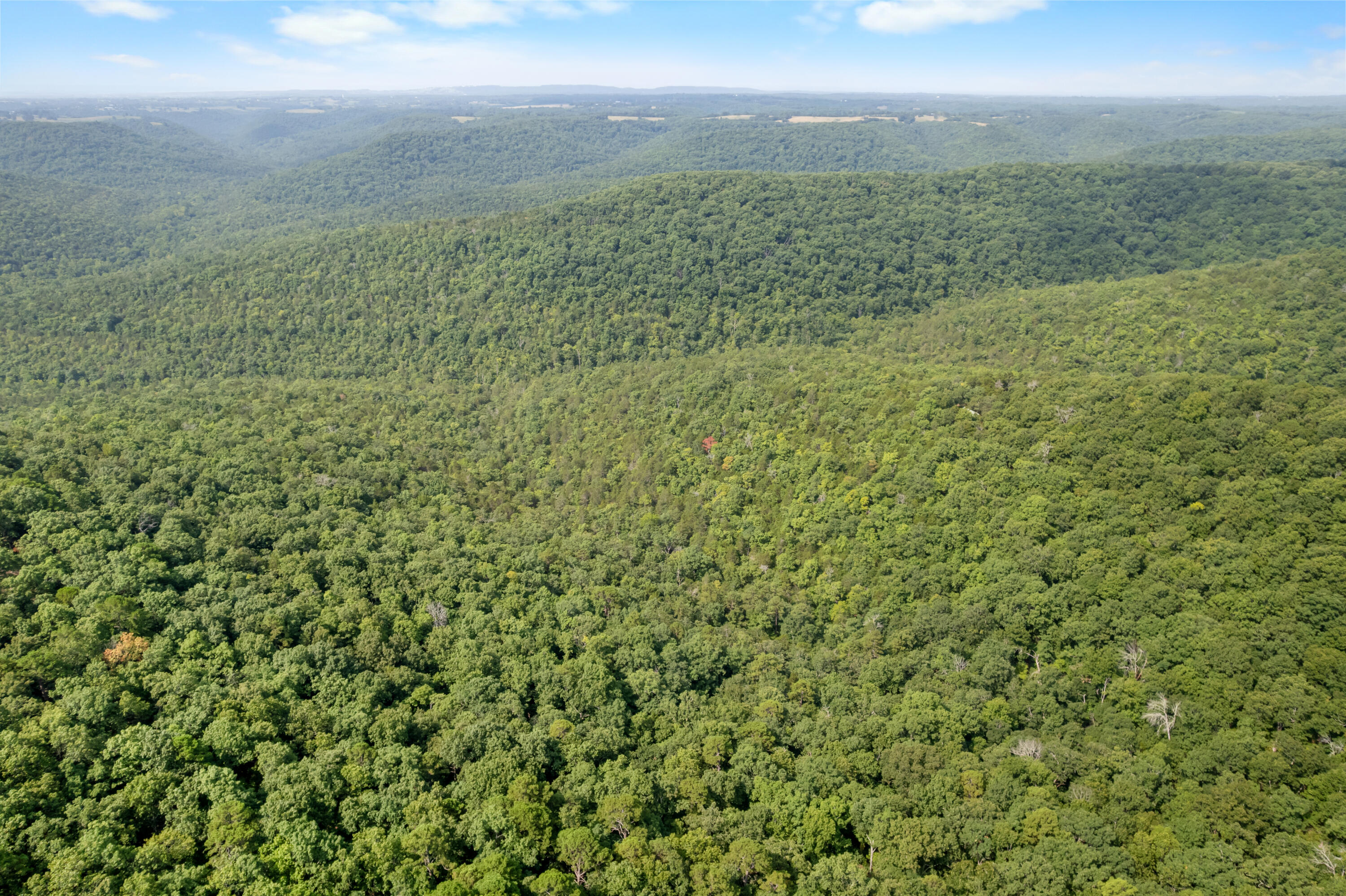 Photo 22 - Land for sale – 000  Pine Top Road  Hollister, MO