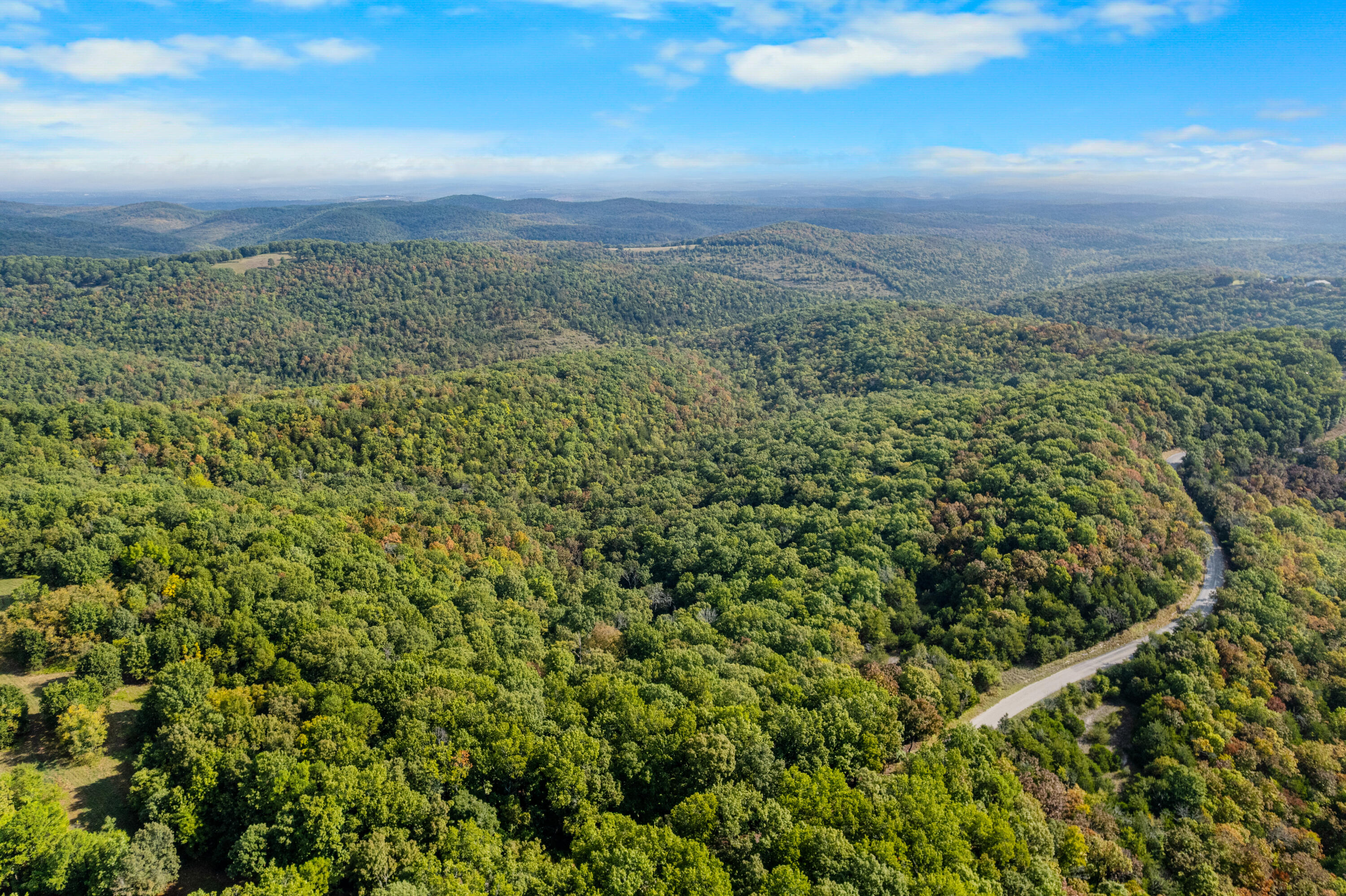 Photo 6 - Land for sale – 000  Pine Top Road  Hollister, MO