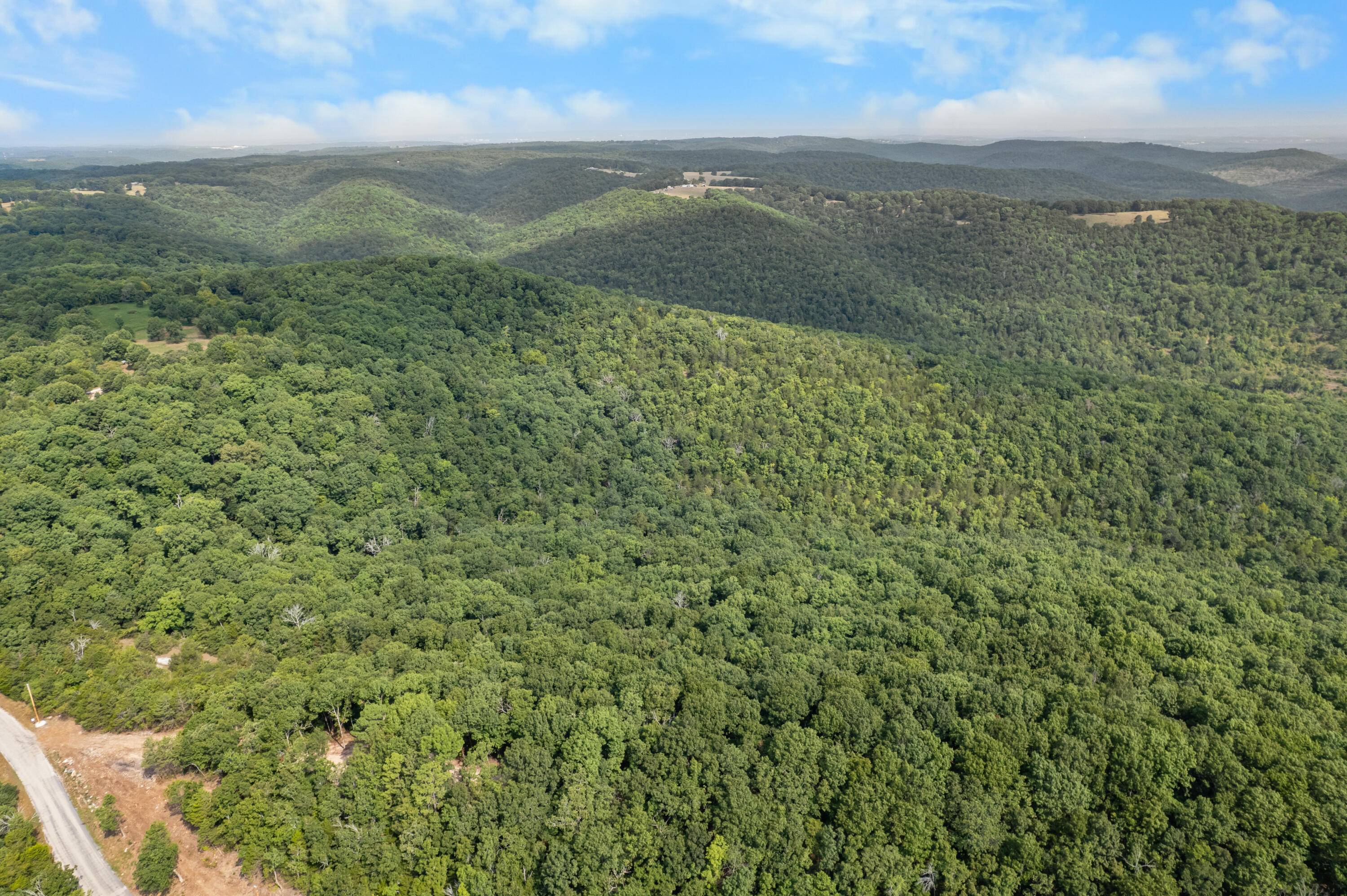 Photo 16 - Land for sale – 000  Pine Top Road  Hollister, MO