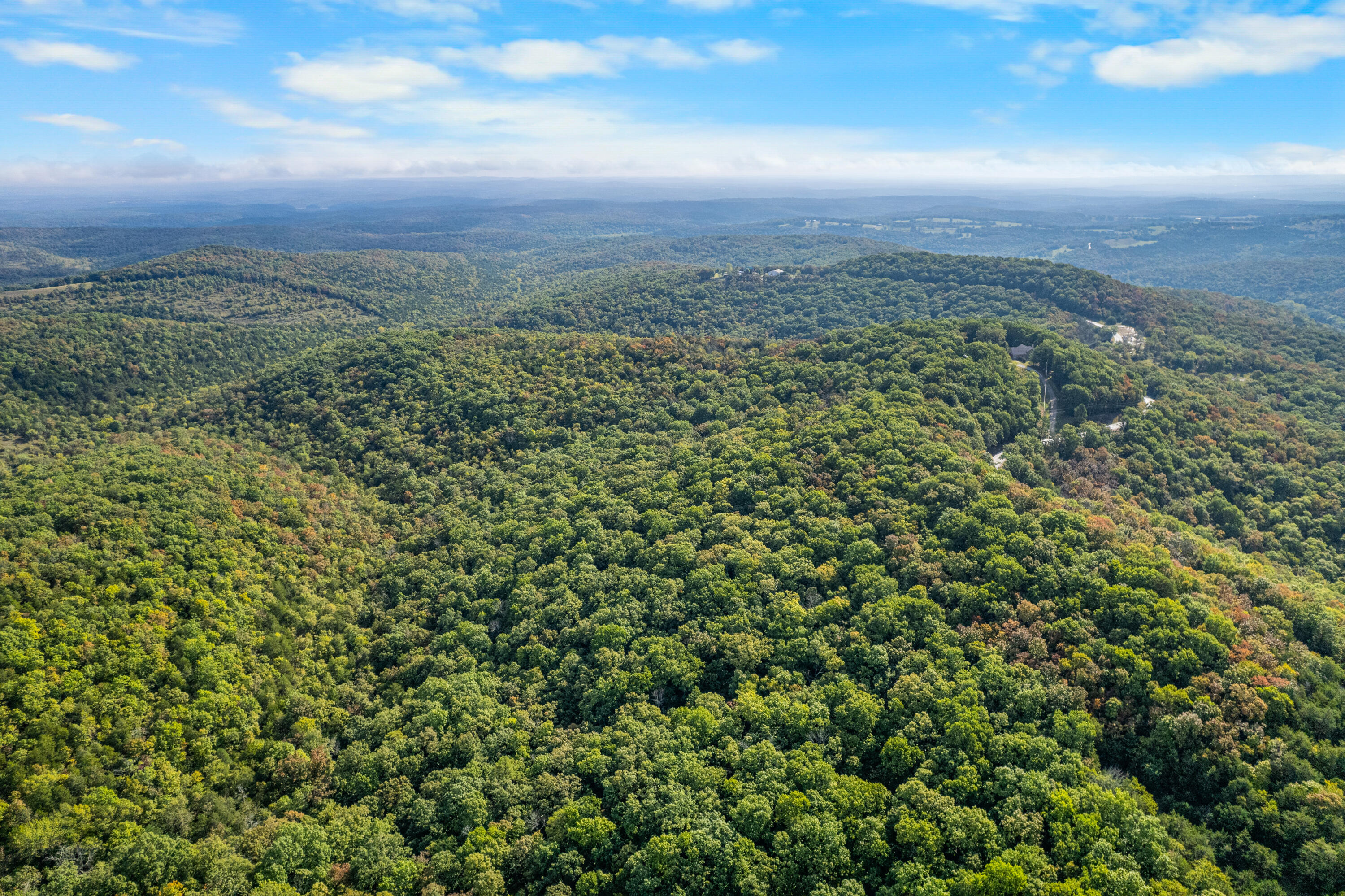 Photo 8 - Land for sale – 000  Pine Top Road  Hollister, MO
