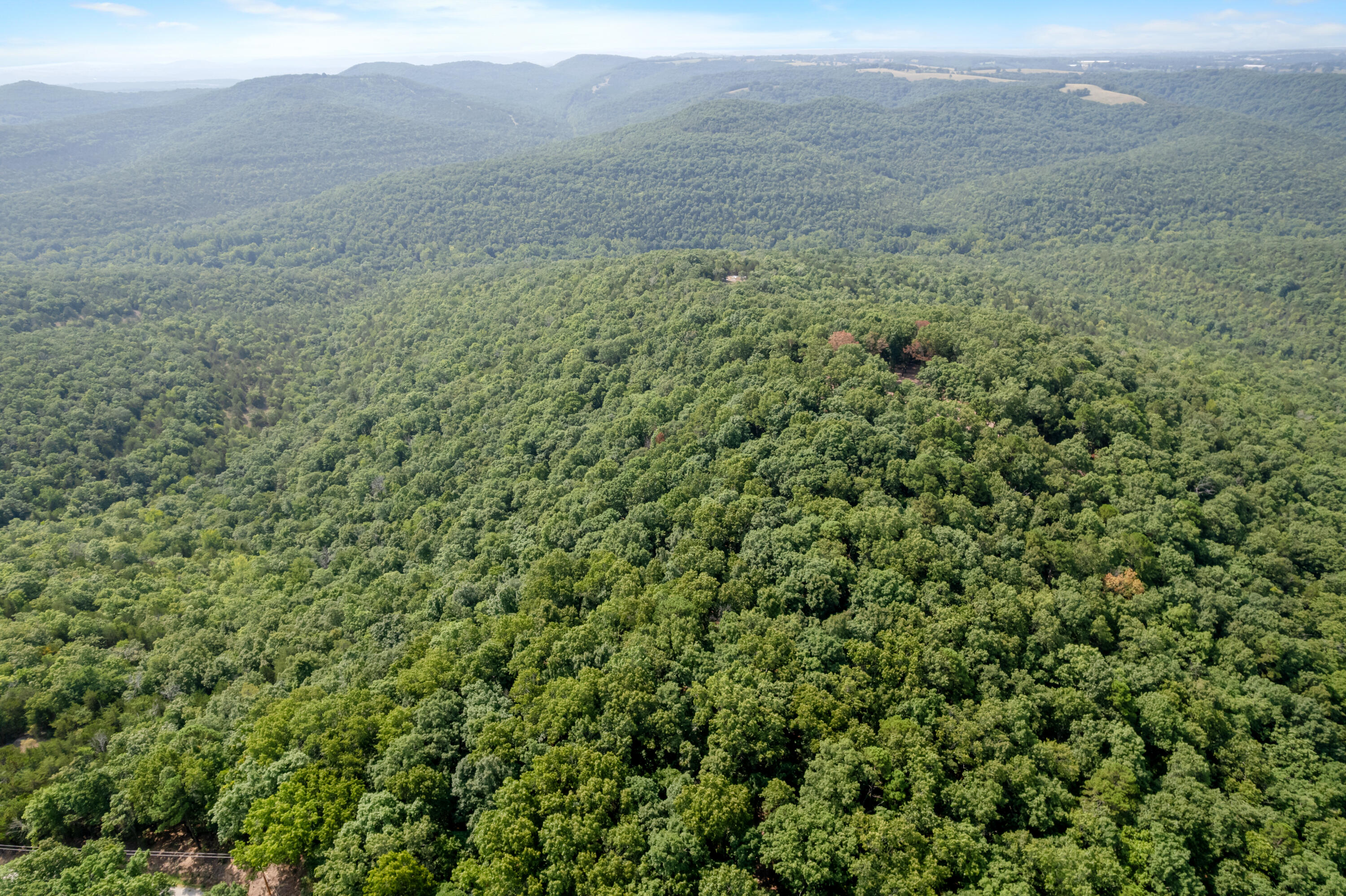 Photo 20 - Land for sale – 000  Pine Top Road  Hollister, MO