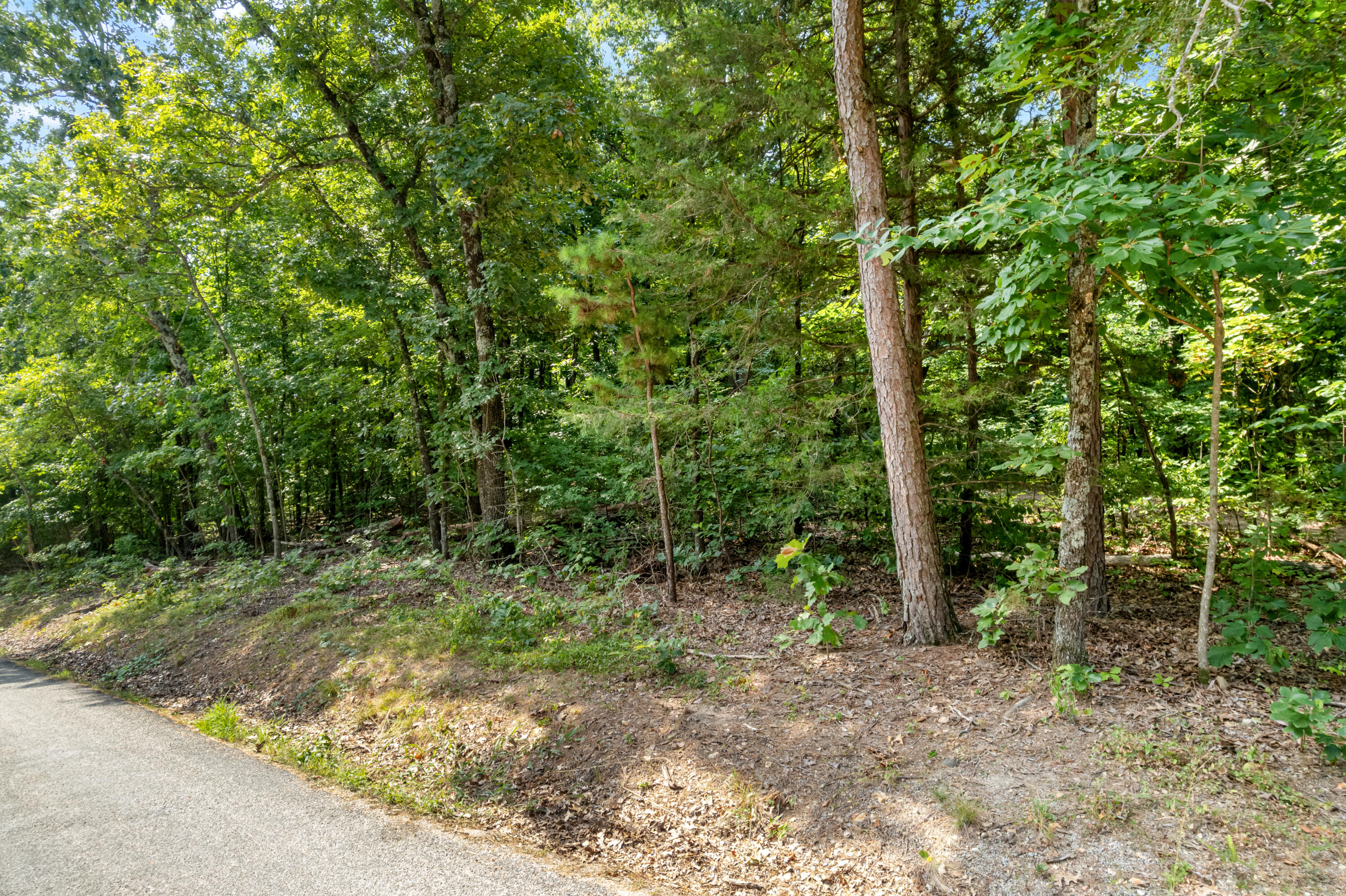 Photo 28 - Land for sale – 000  Pine Top Road  Hollister, MO