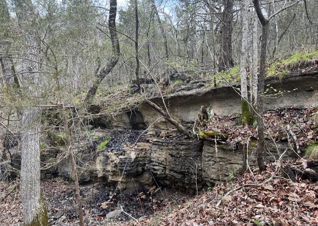 Photo 26 - Land for sale – 000  Pine Top Road  Hollister, MO