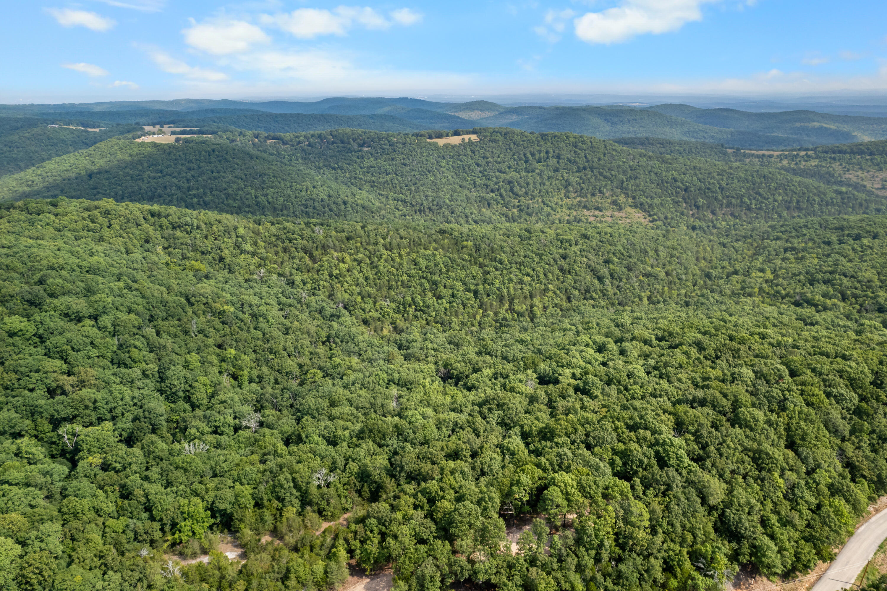 Photo 14 - Land for sale – 000  Pine Top Road  Hollister, MO