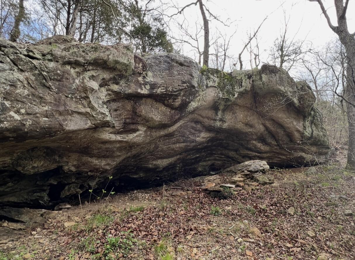 Photo 24 - Land for sale – 000  Pine Top Road  Hollister, MO