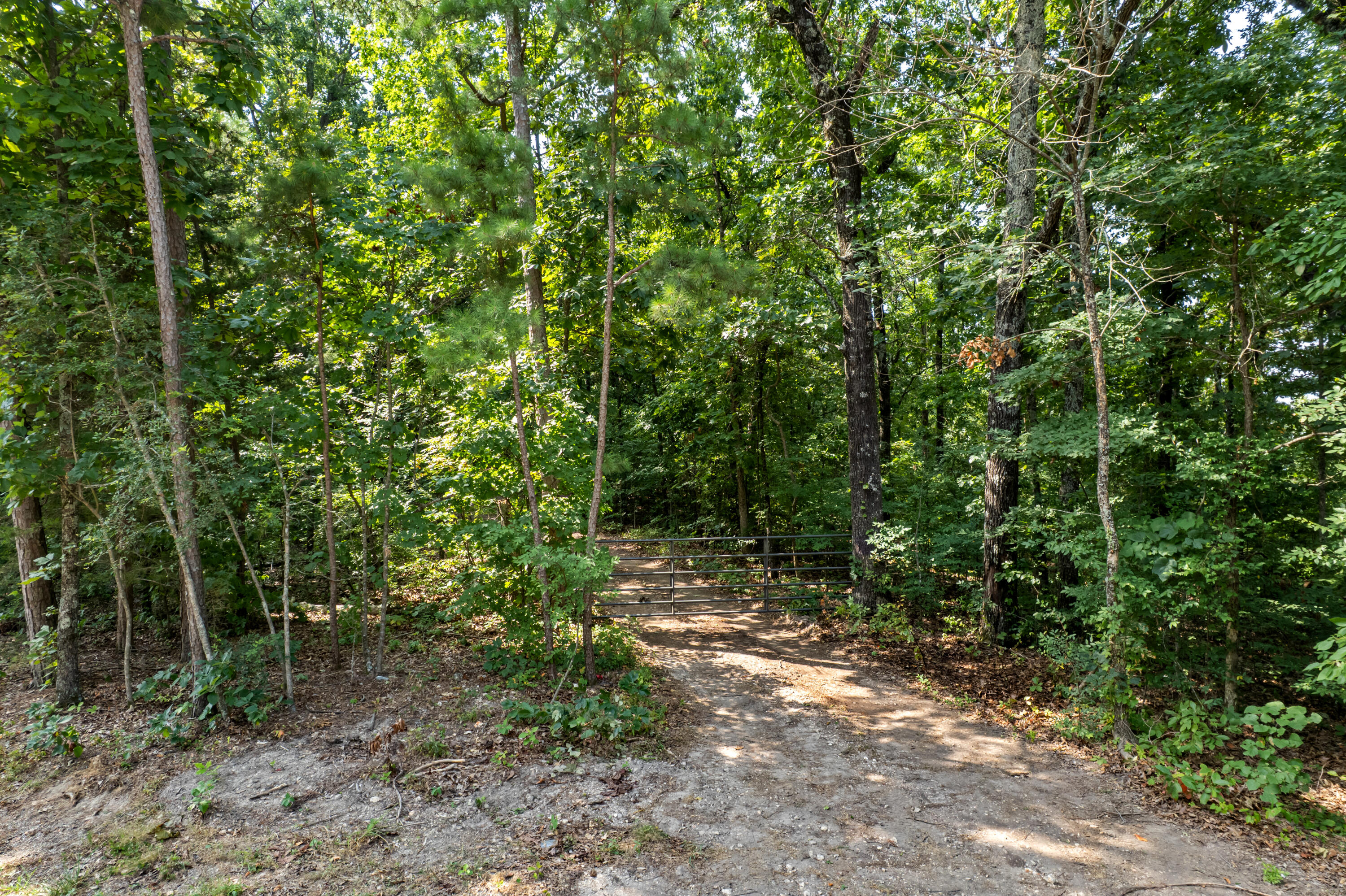 Photo 29 - Land for sale – 000  Pine Top Road  Hollister, MO