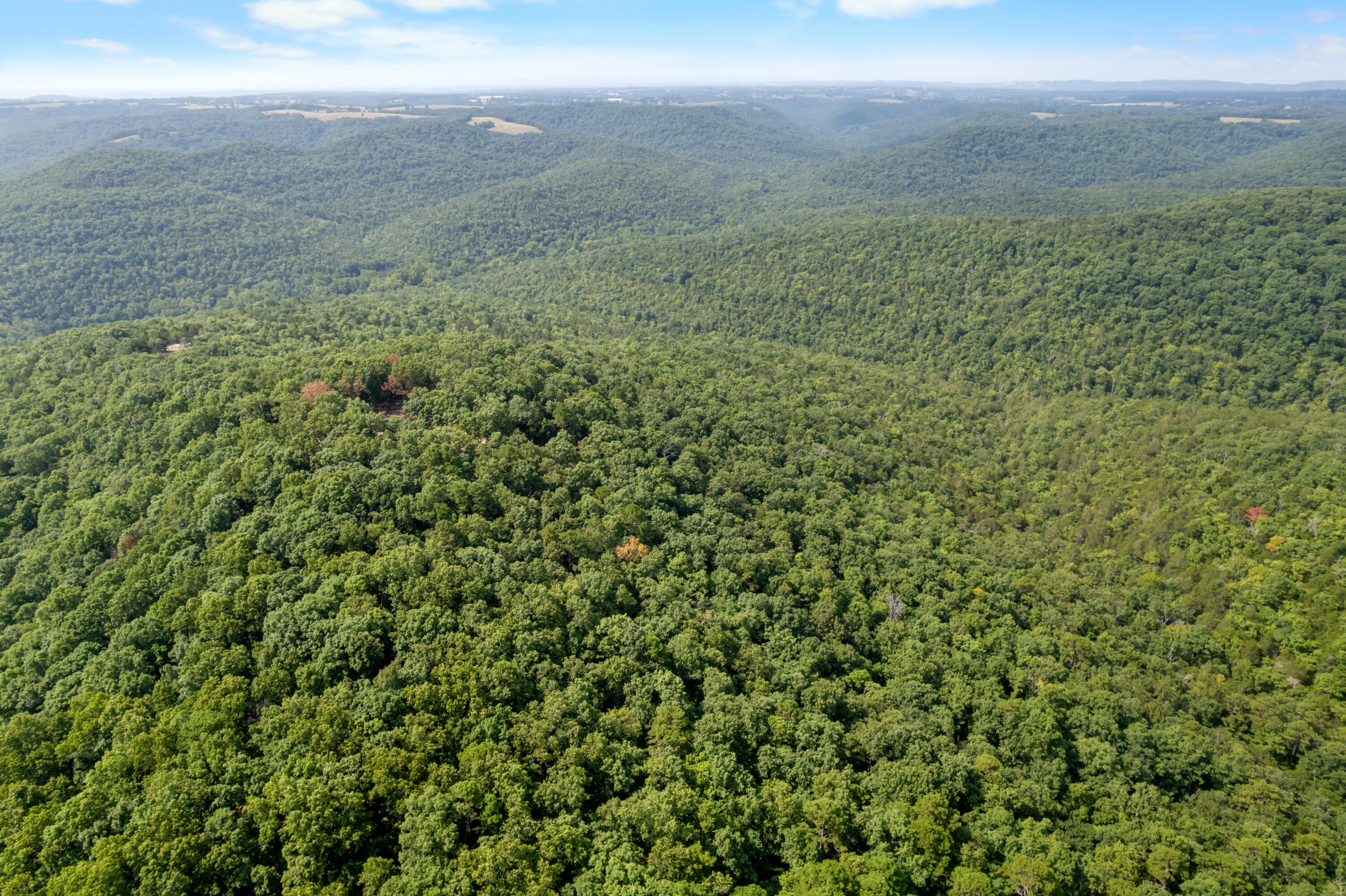 Photo 21 - Land for sale – 000  Pine Top Road  Hollister, MO