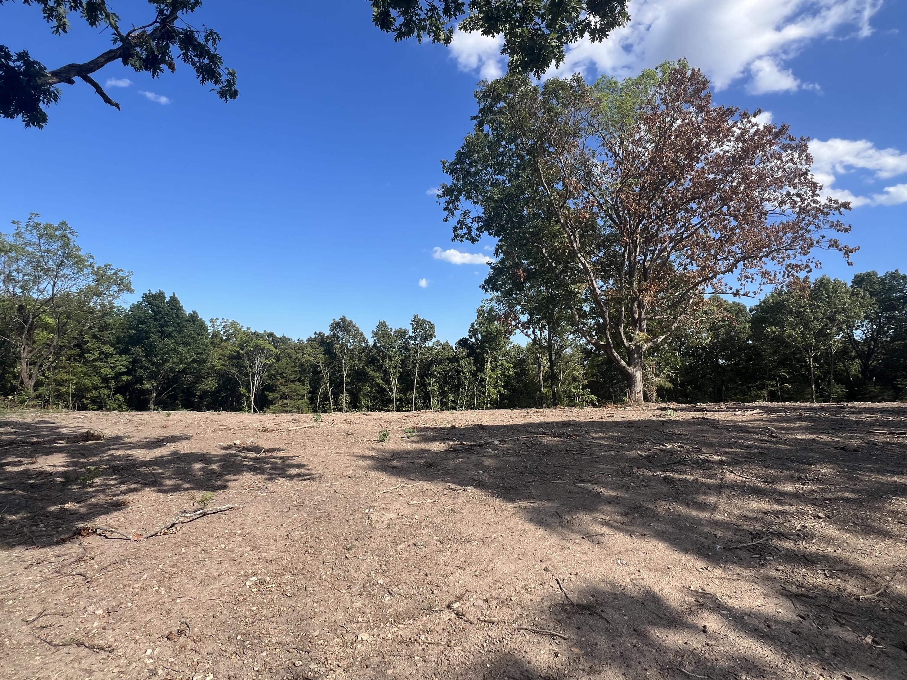 Photo 38 - Land for sale – 000  Pine Top Road  Hollister, MO