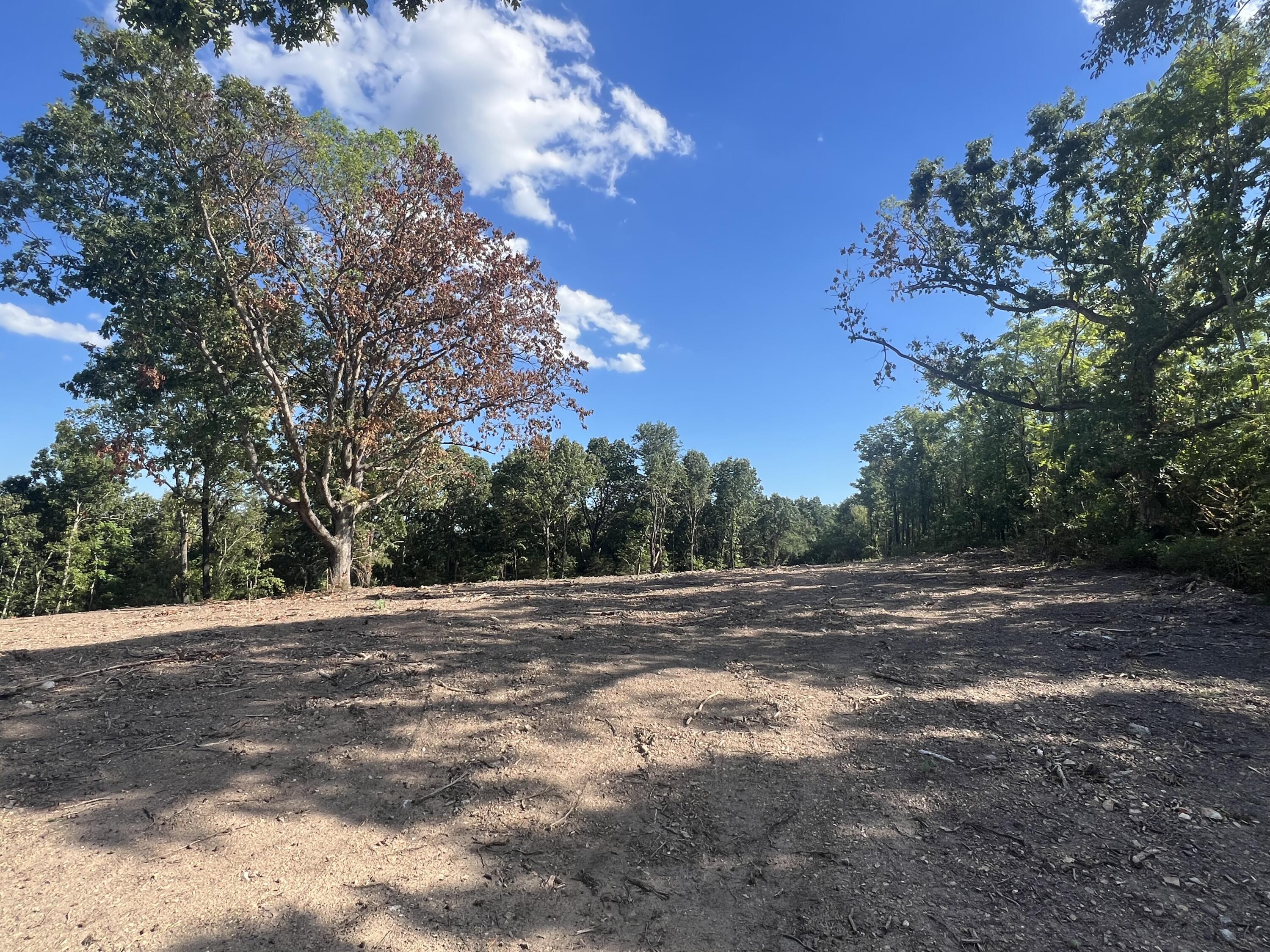 Photo 37 - Land for sale – 000  Pine Top Road  Hollister, MO