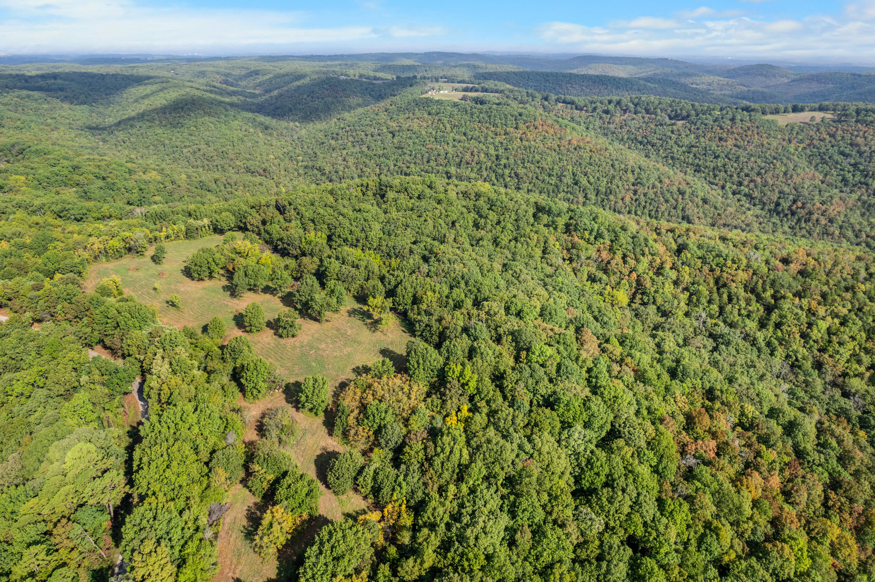 Photo 7 - Land for sale – 000  Pine Top Road  Hollister, MO