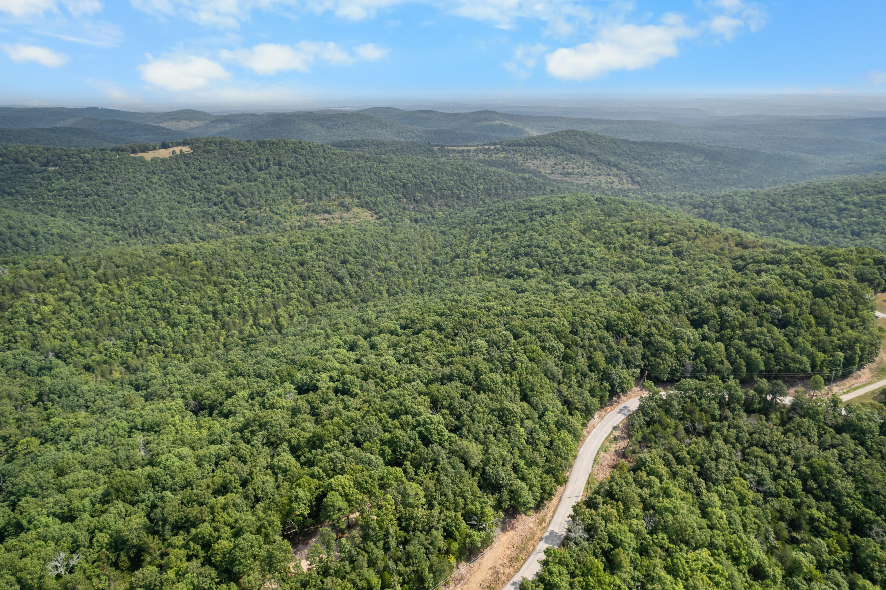Photo 13 - Land for sale – 000  Pine Top Road  Hollister, MO