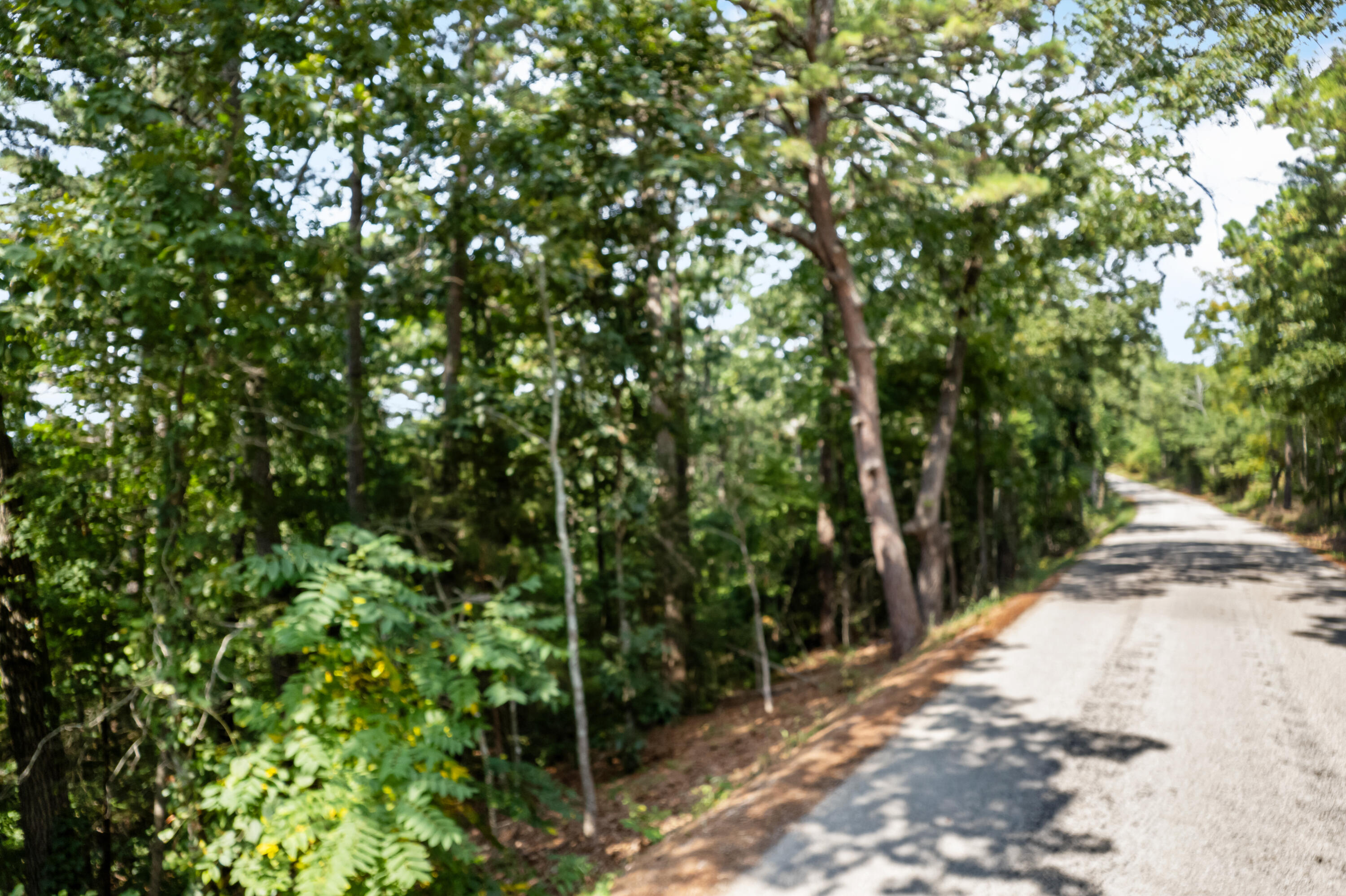 Photo 31 - Land for sale – 000  Pine Top Road  Hollister, MO