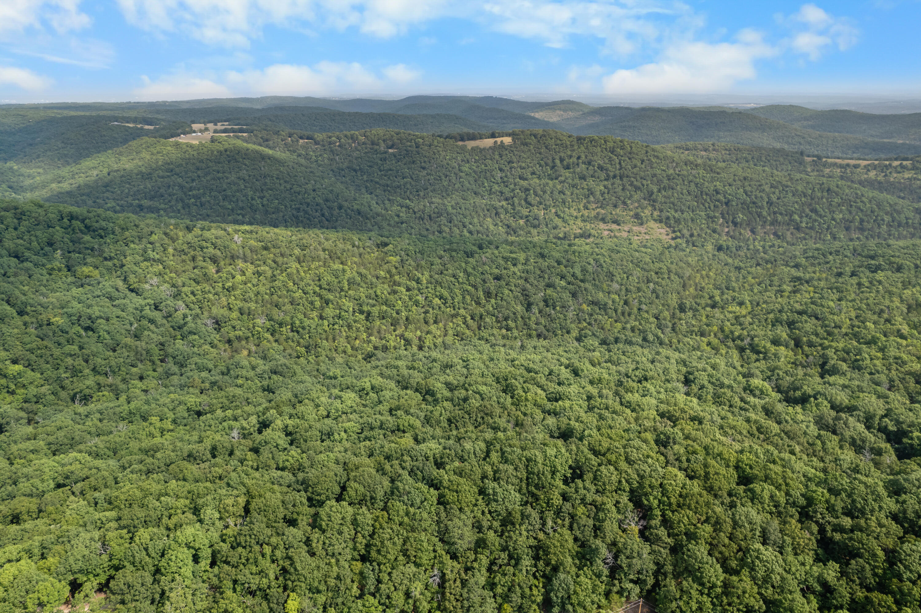 Photo 17 - Land for sale – 000  Pine Top Road  Hollister, MO