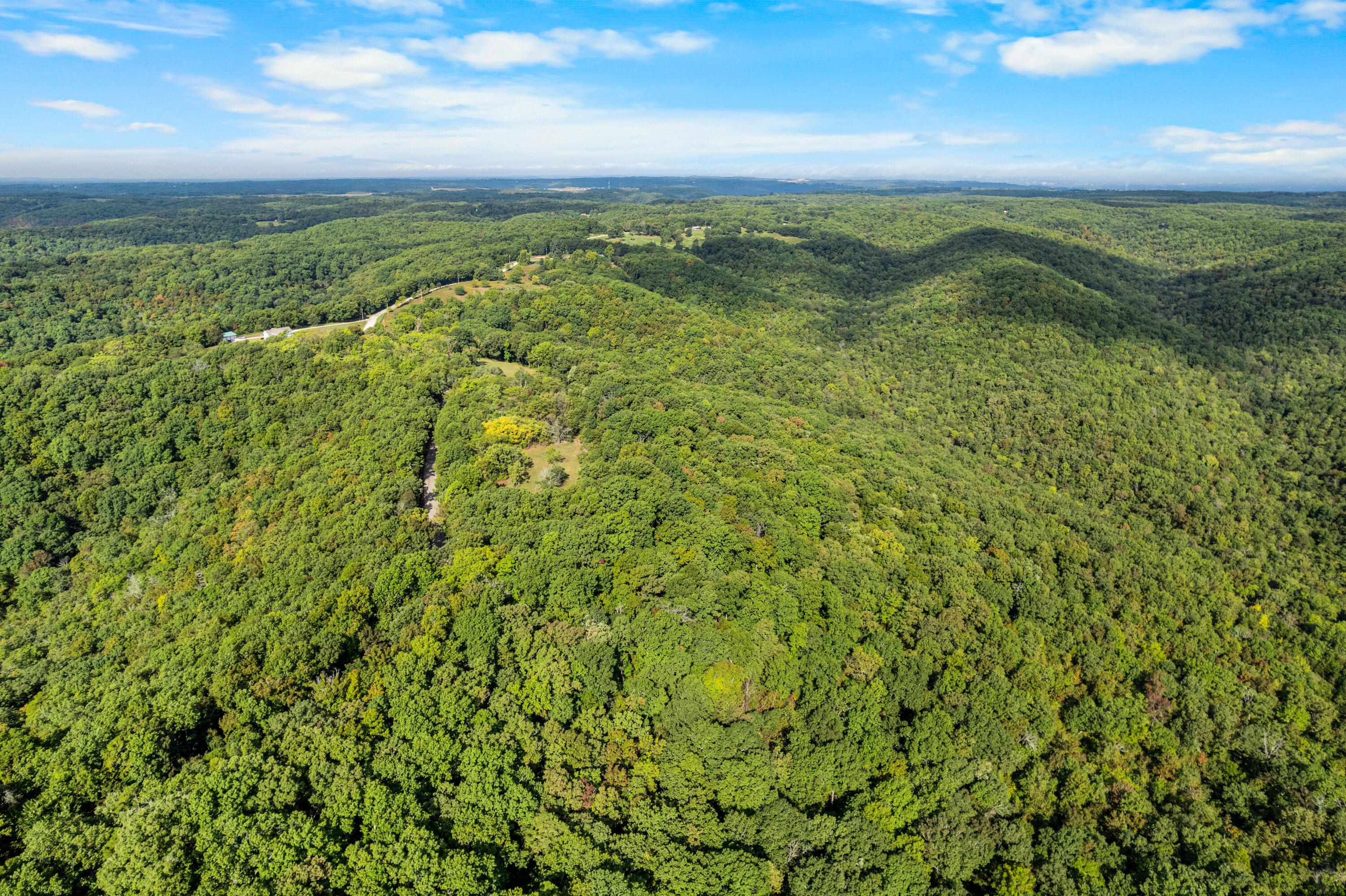 Photo 11 - Land for sale – 000  Pine Top Road  Hollister, MO