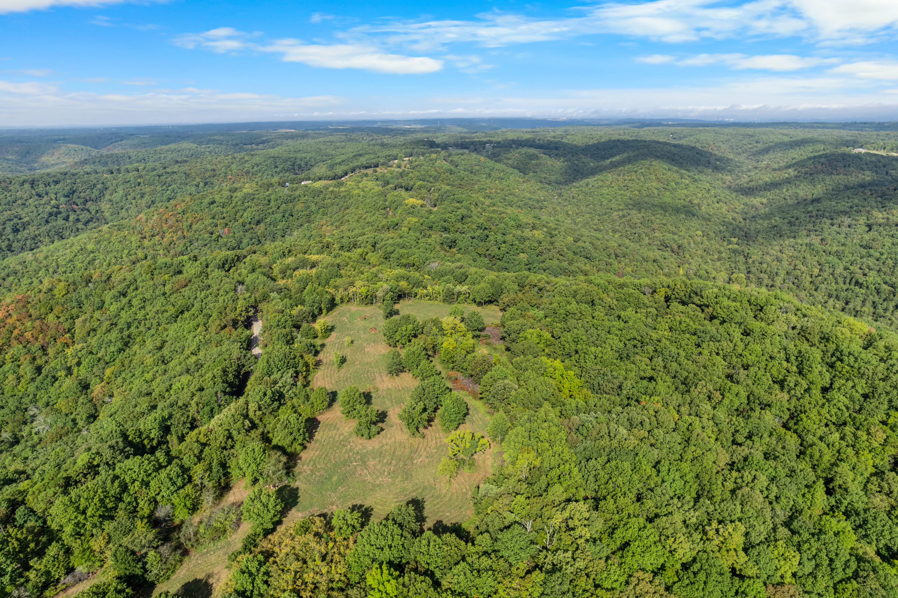 Photo 9 - Land for sale – 000  Pine Top Road  Hollister, MO