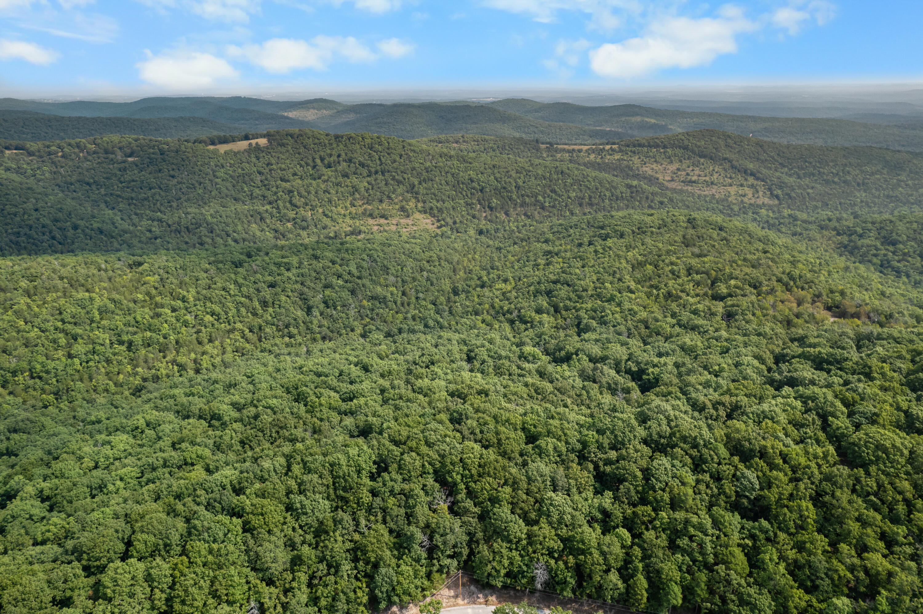 Photo 18 - Land for sale – 000  Pine Top Road  Hollister, MO