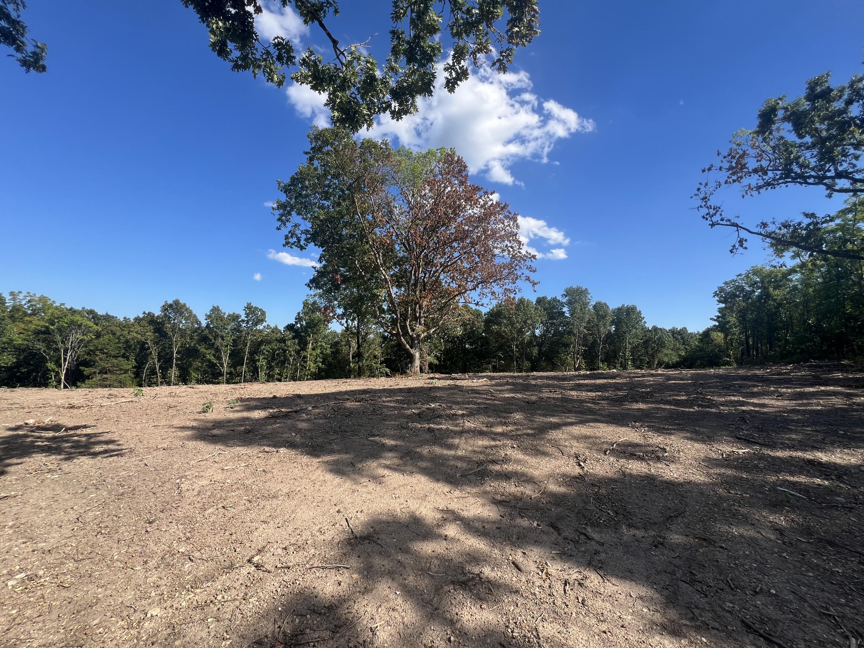 Photo 3 - Land for sale – 000  Pine Top Road  Hollister, MO