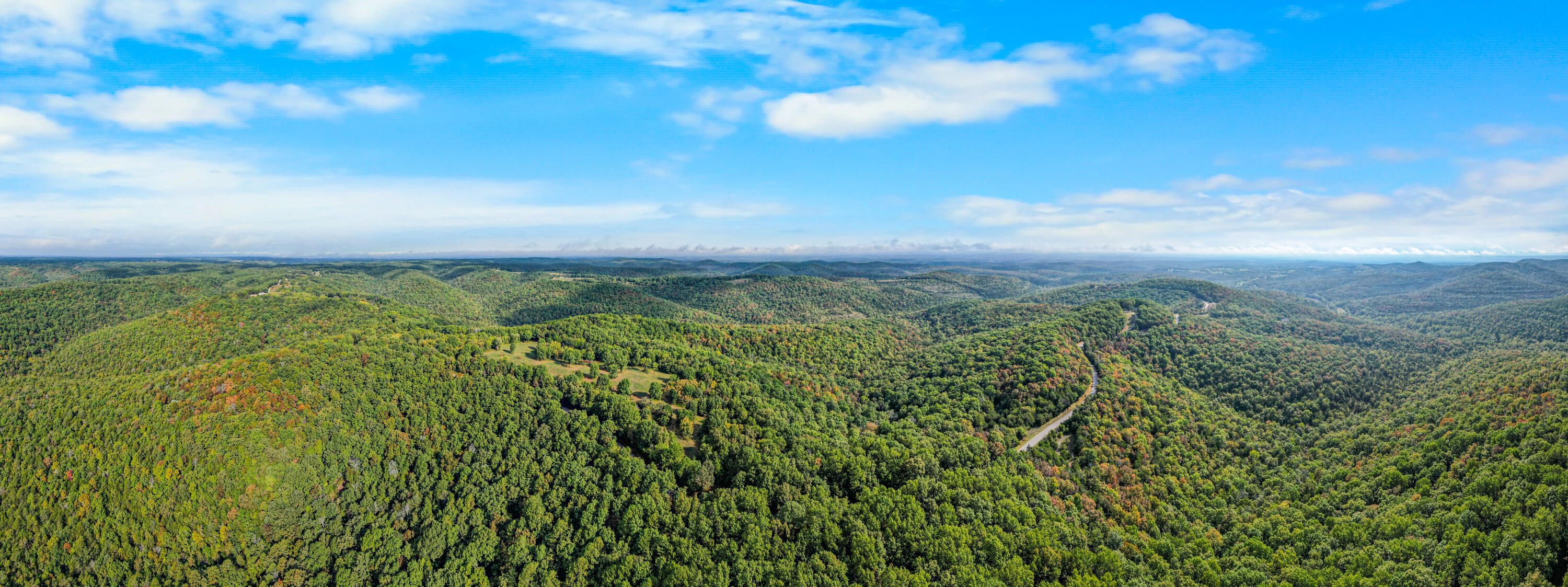 Photo 12 - Land for sale – 000  Pine Top Road  Hollister, MO