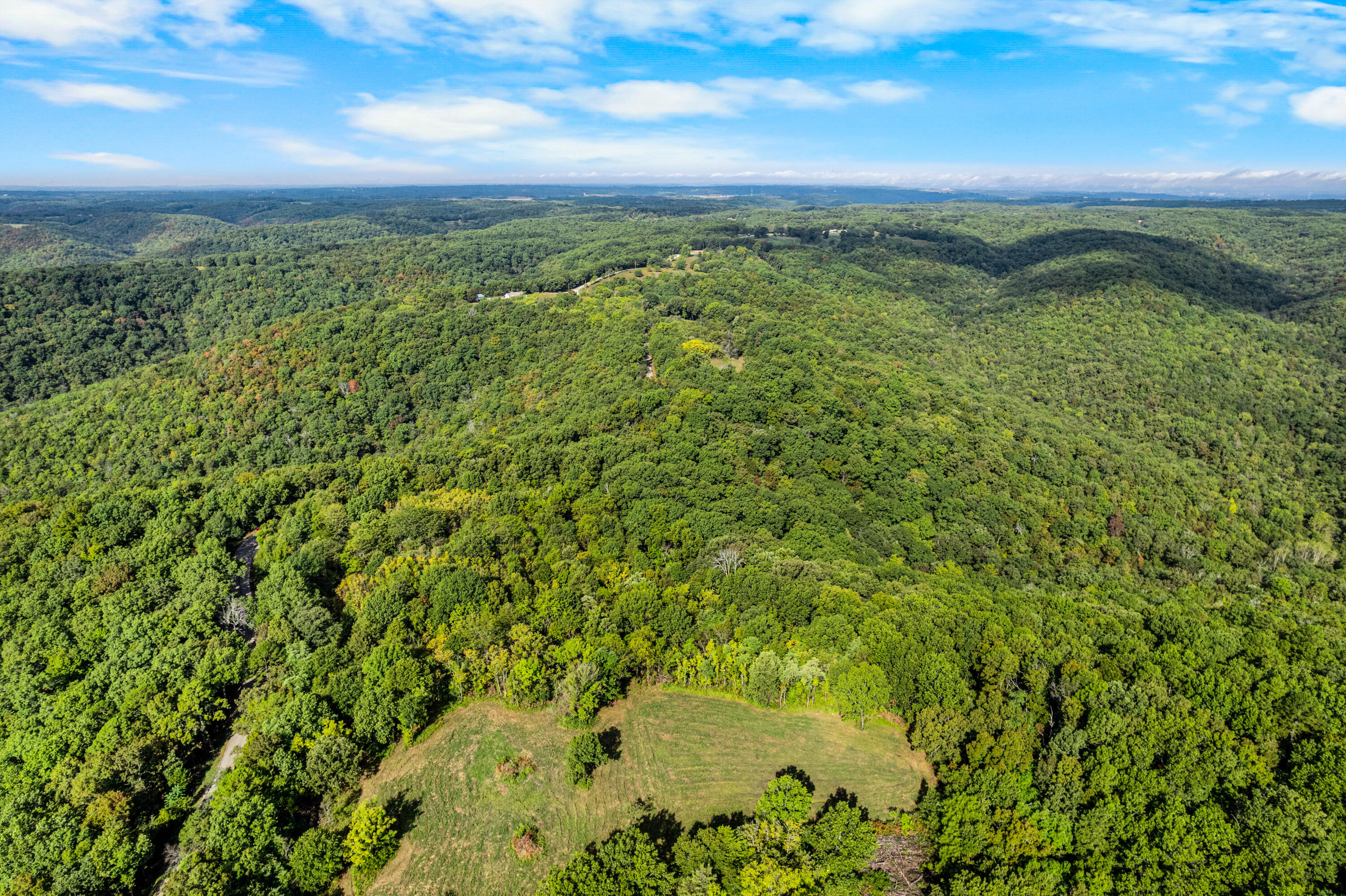 Photo 10 - Land for sale – 000  Pine Top Road  Hollister, MO