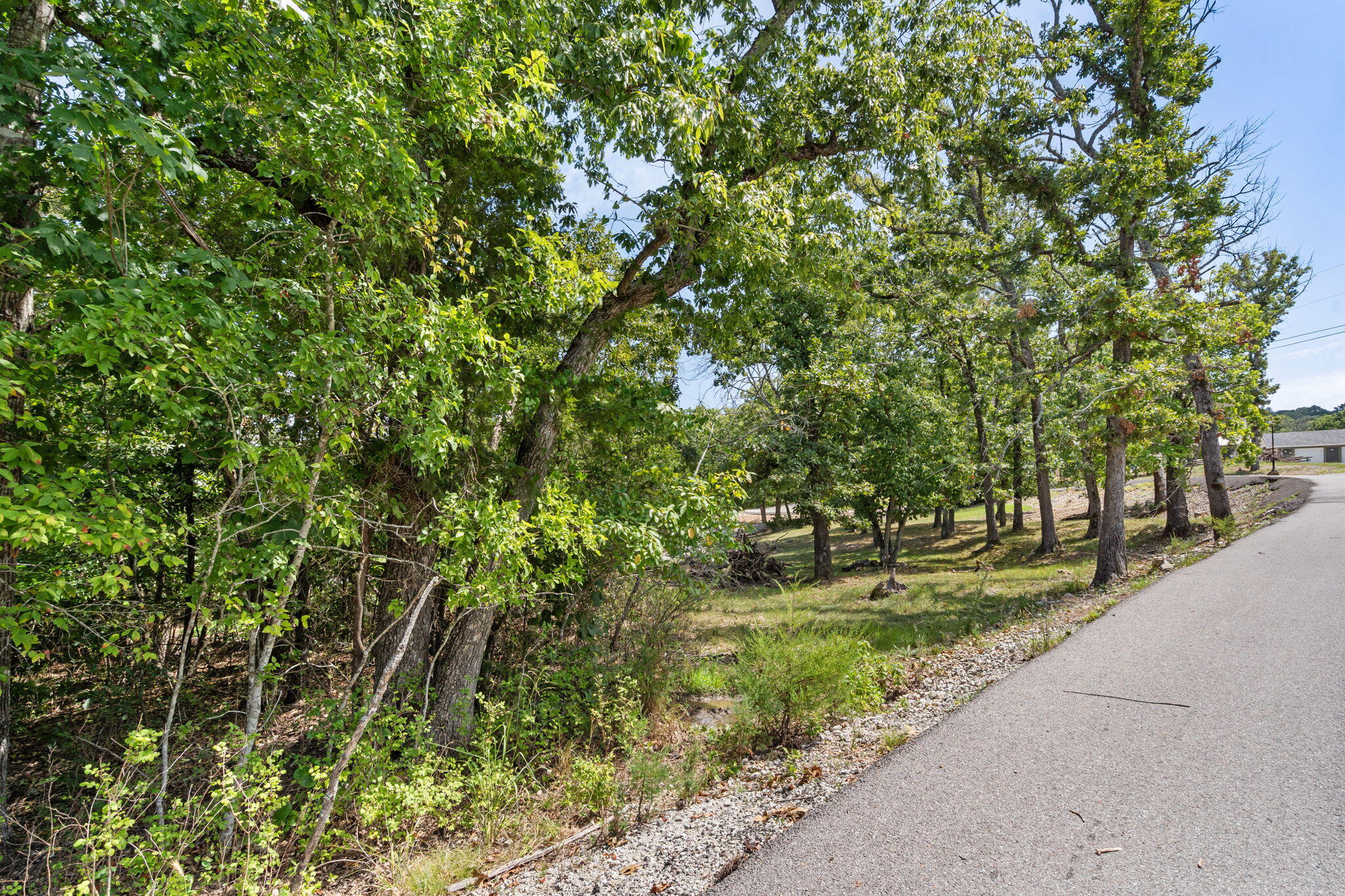 Photo 5 - Land for sale – 86  Carefree Lane  Kimberling City, MO