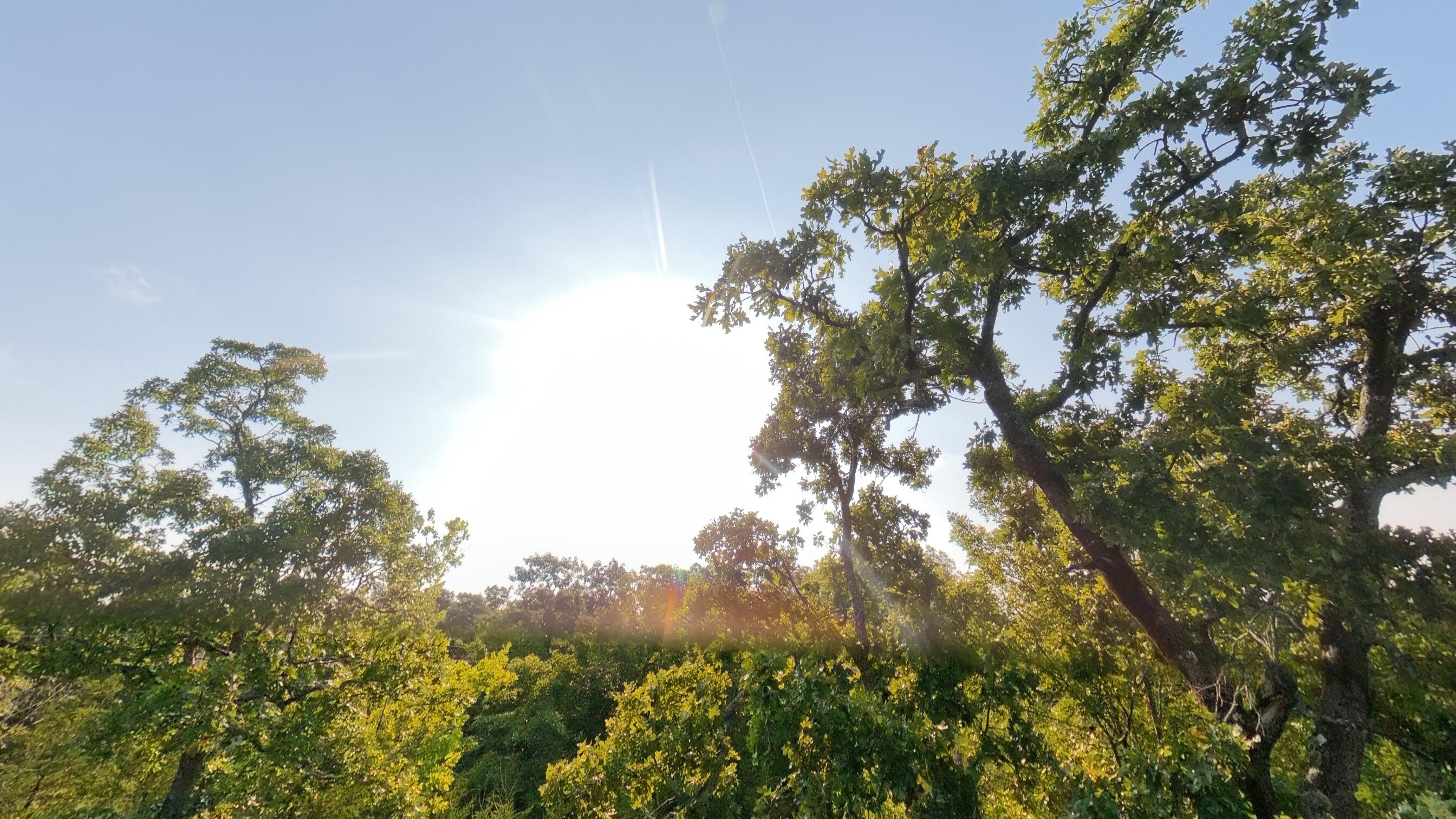 Photo 33 - Land for sale – 000 E County Road 646   Theodosia, MO