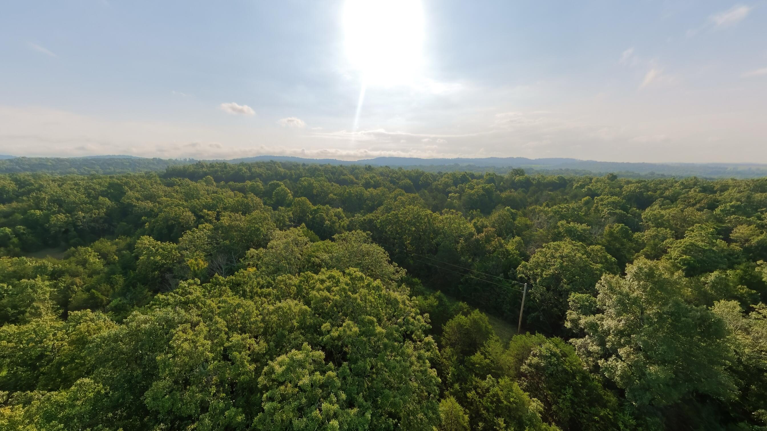Photo 10 - Land for sale – 000 E County Road 646   Theodosia, MO