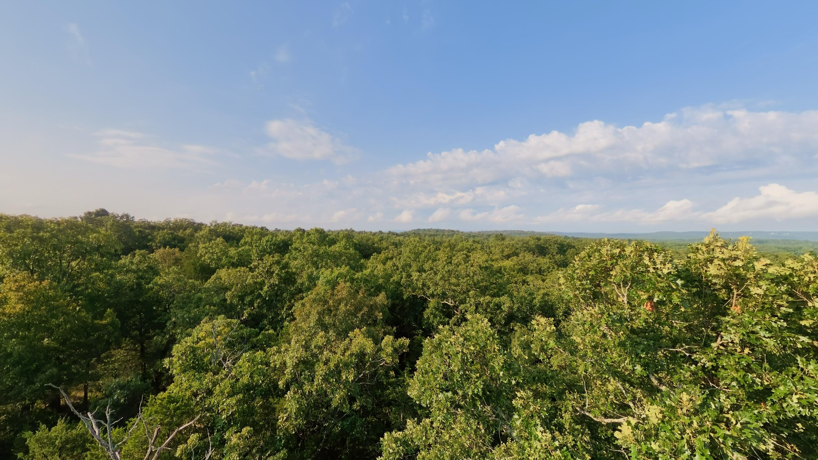 Photo 28 - Land for sale – 000 E County Road 646   Theodosia, MO