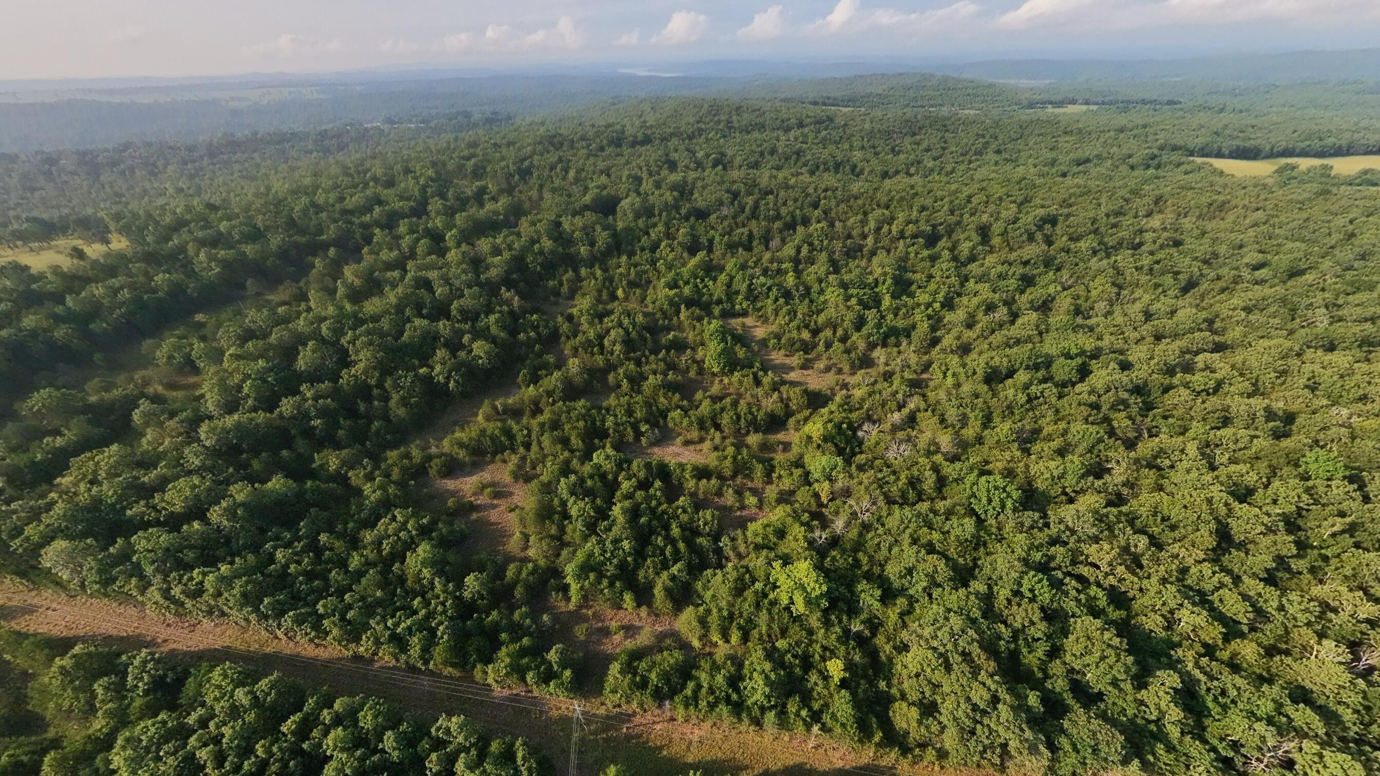 Photo 4 - Land for sale – 000 E County Road 646   Theodosia, MO