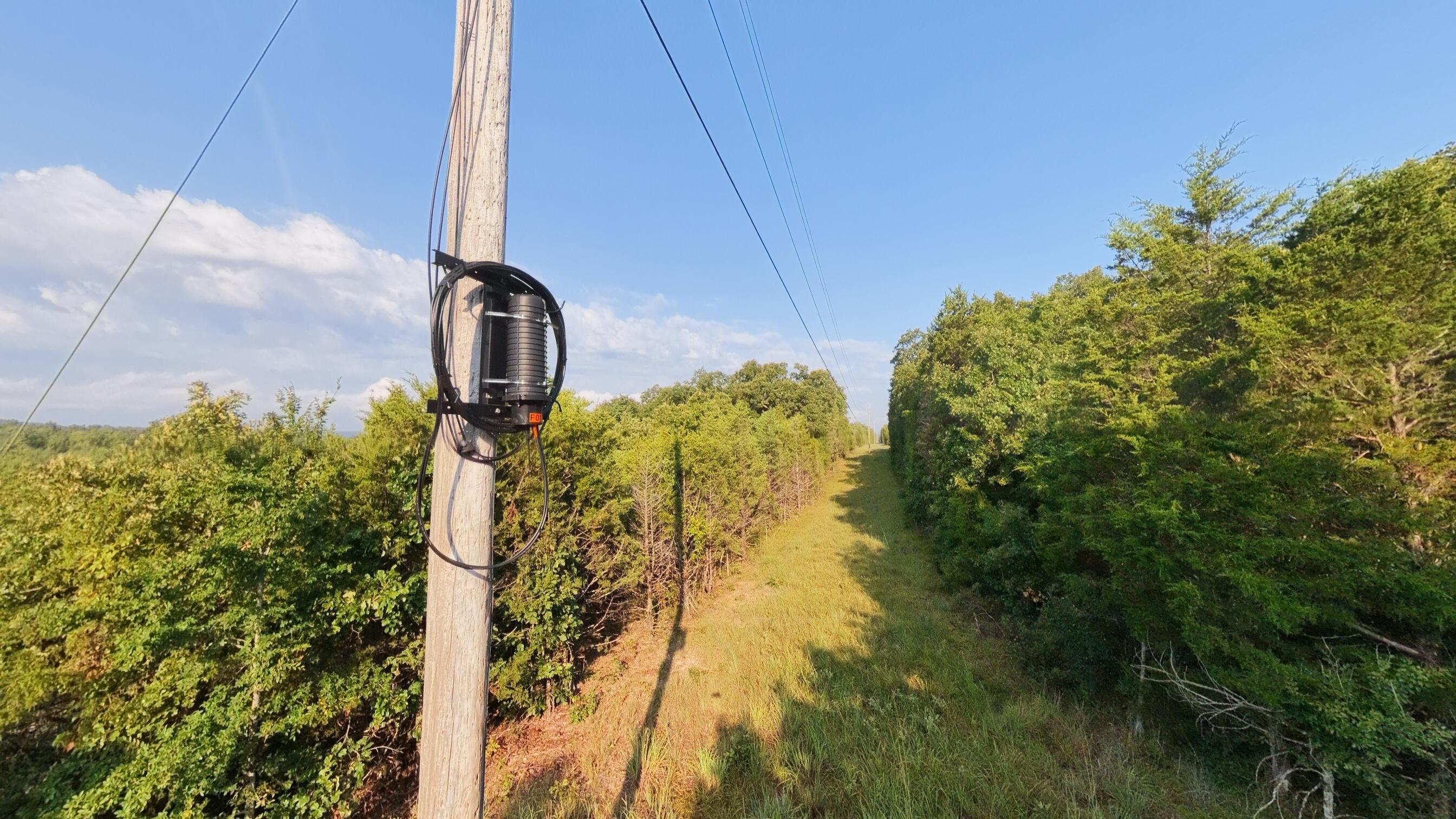 Photo 16 - Land for sale – 000 E County Road 646   Theodosia, MO