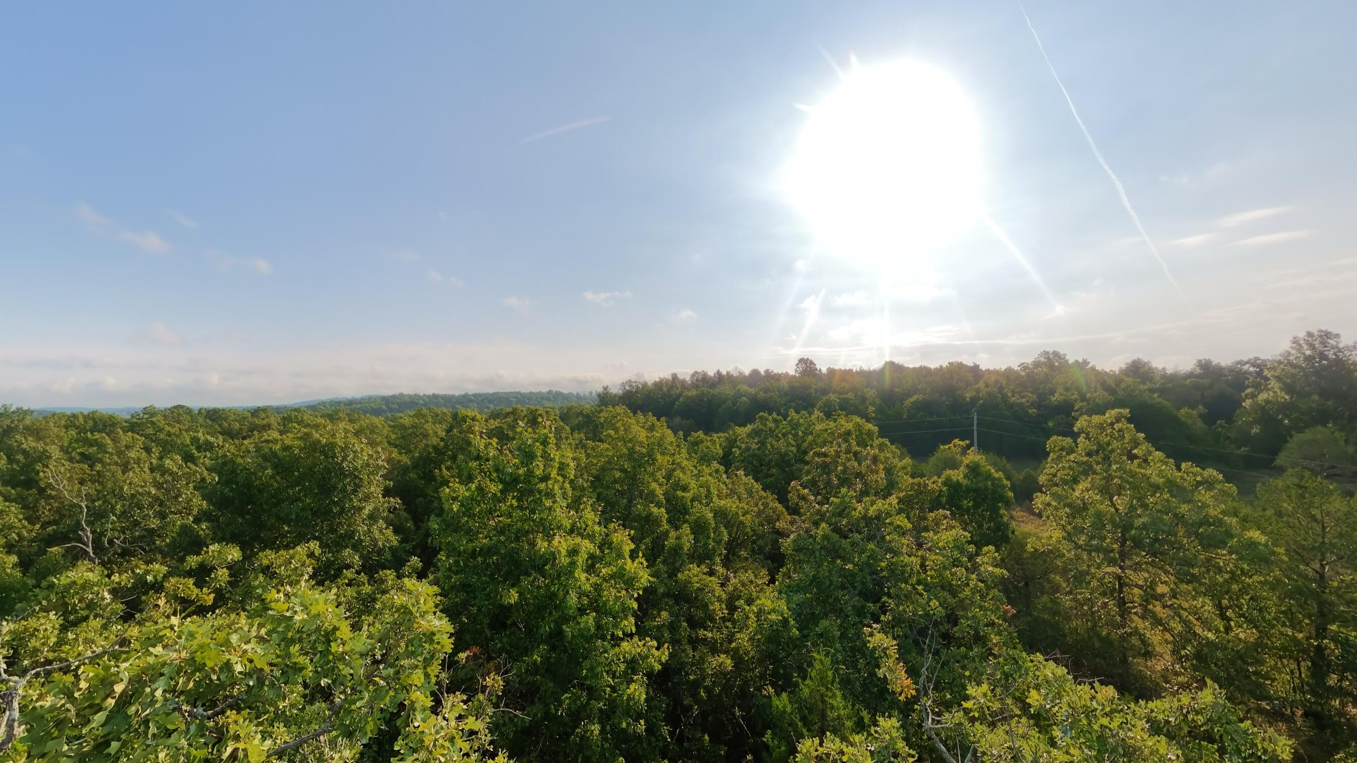 Photo 26 - Land for sale – 000 E County Road 646   Theodosia, MO