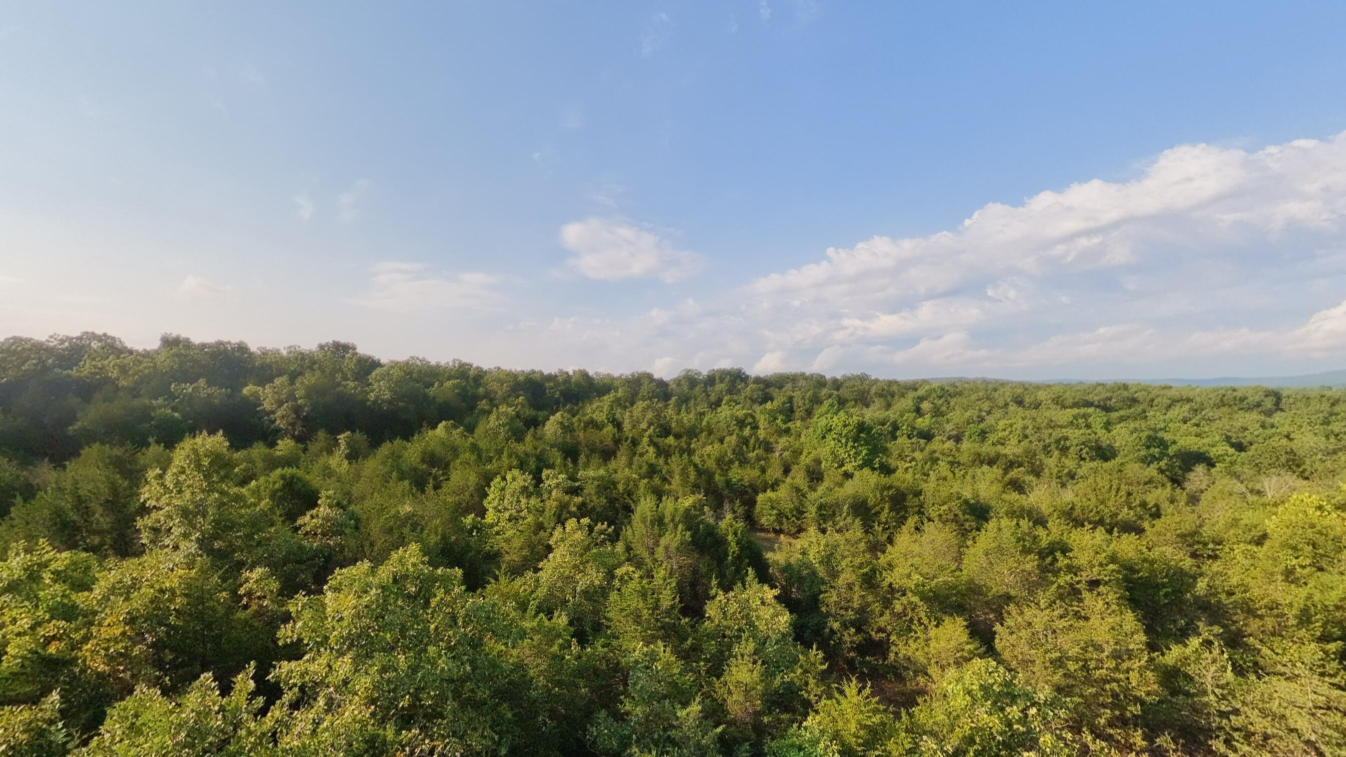 Photo 20 - Land for sale – 000 E County Road 646   Theodosia, MO