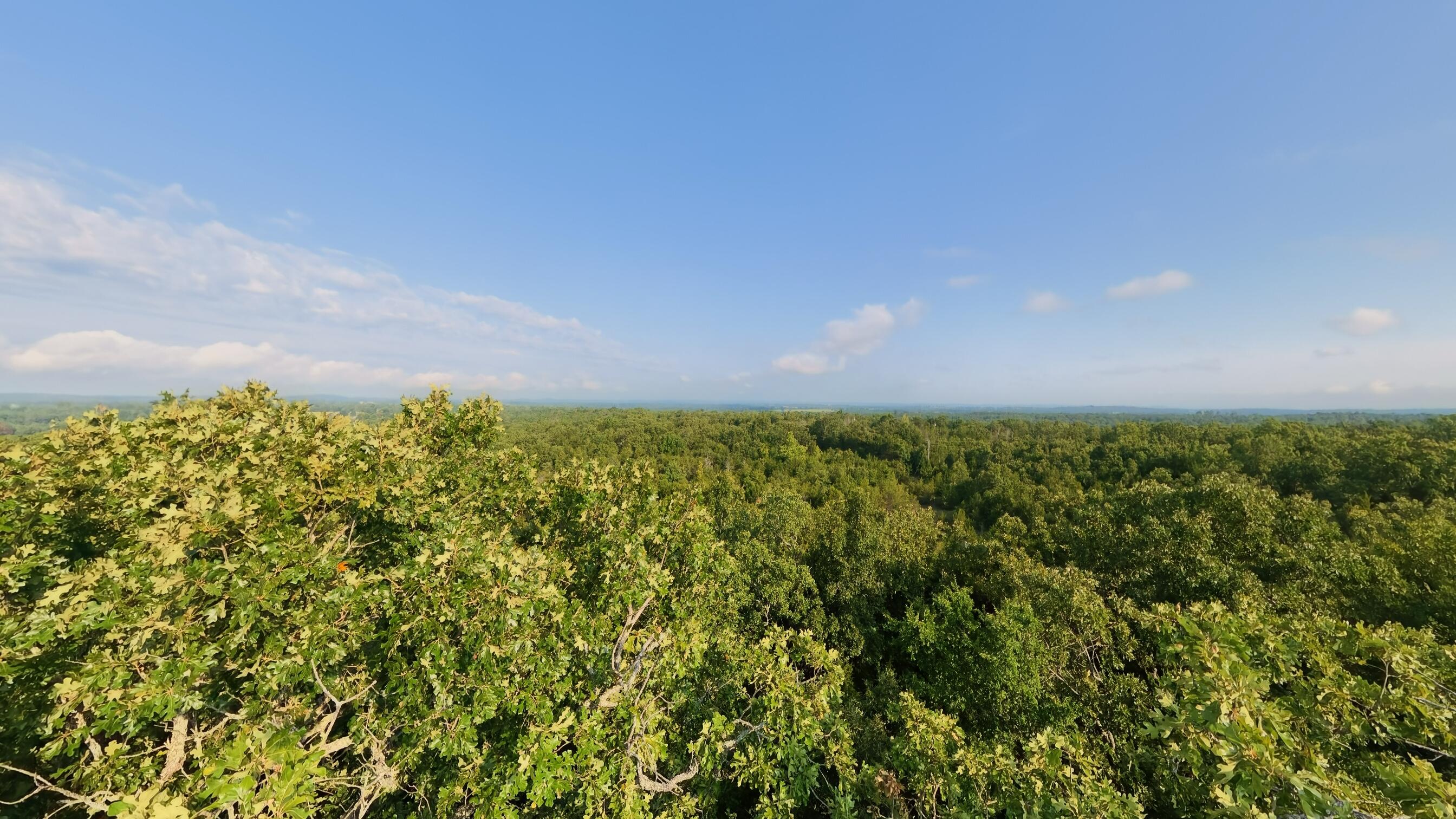 Photo 27 - Land for sale – 000 E County Road 646   Theodosia, MO