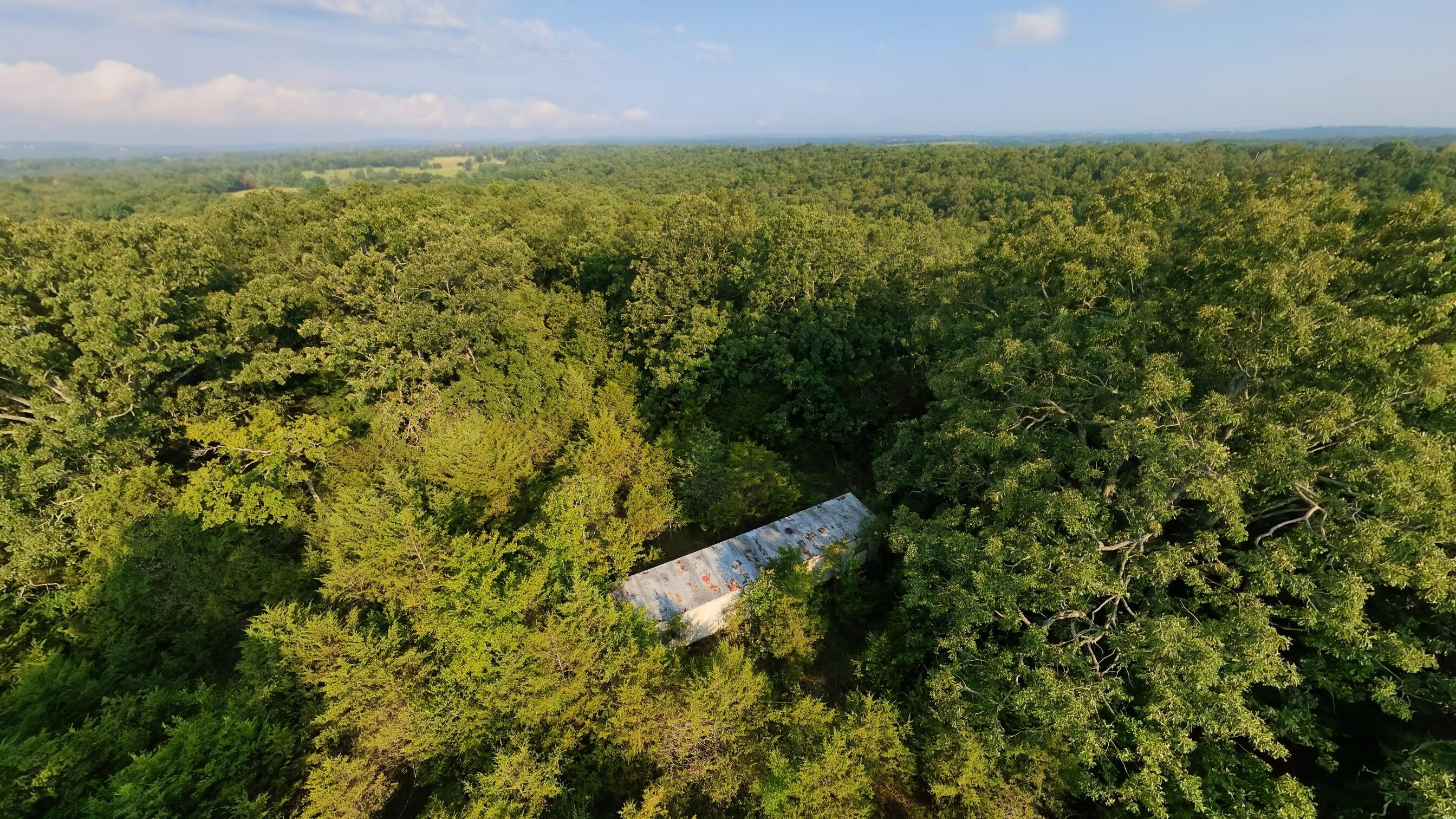 Photo 6 - Land for sale – 000 E County Road 646   Theodosia, MO