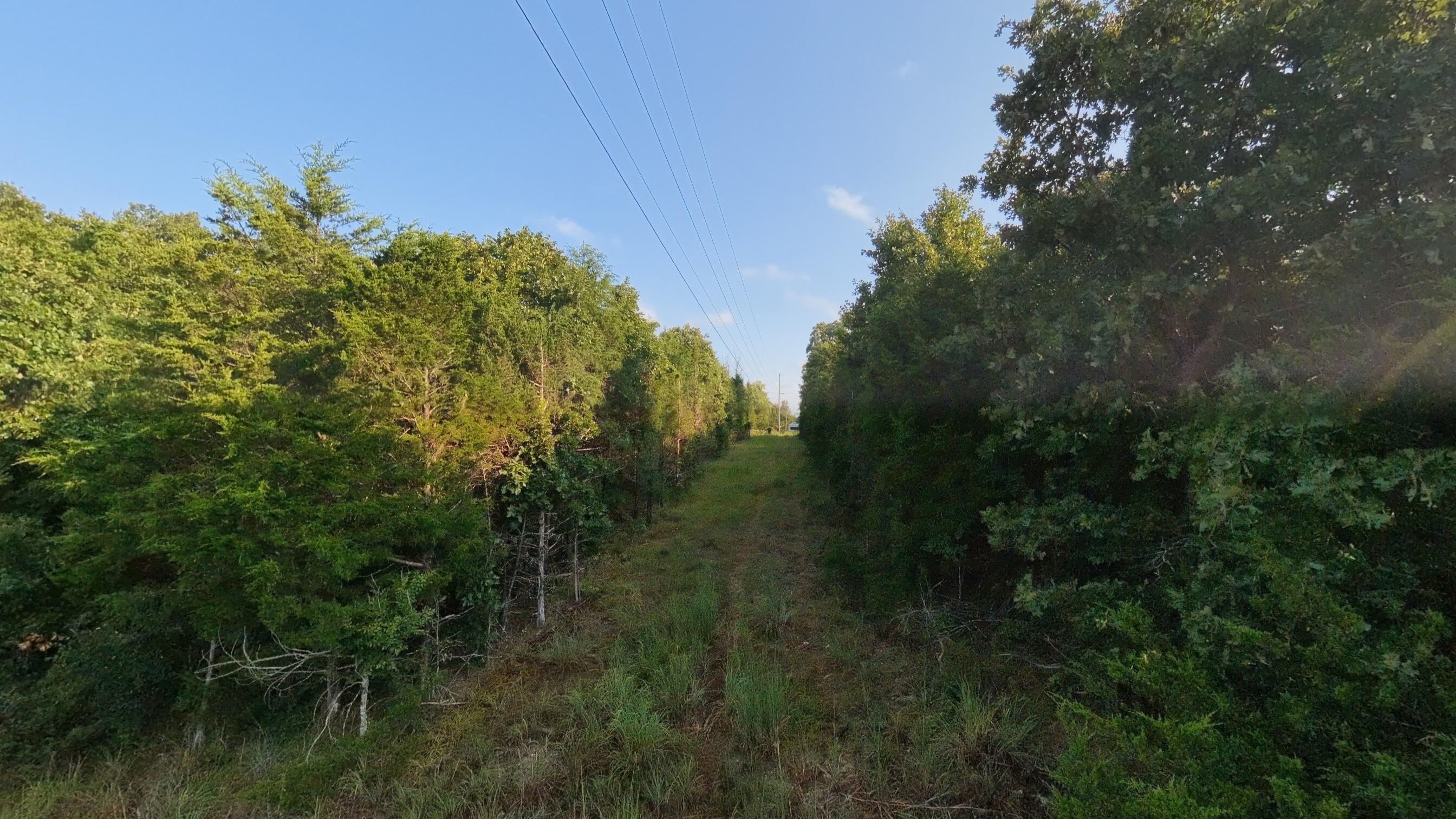 Photo 18 - Land for sale – 000 E County Road 646   Theodosia, MO