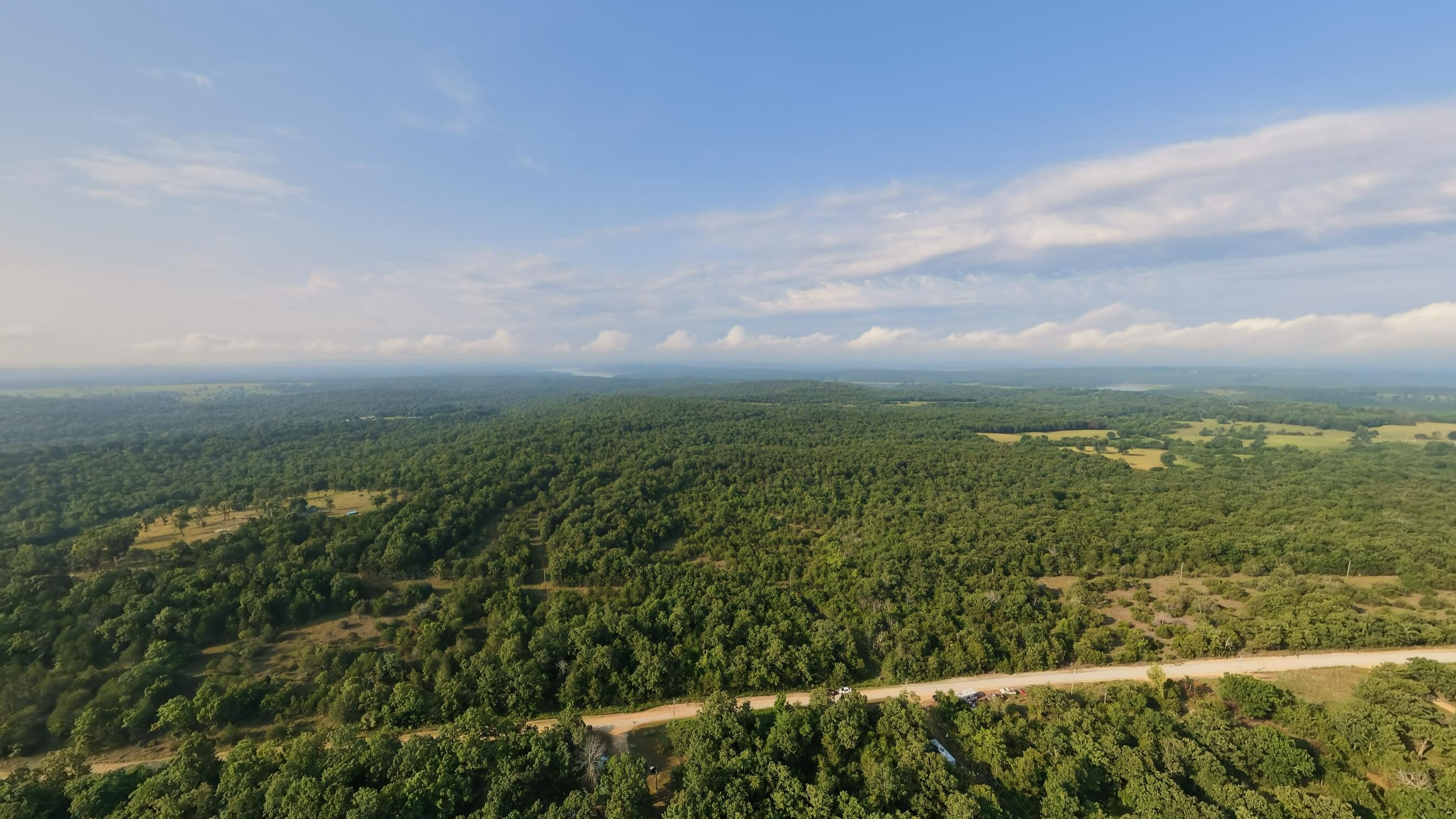 Photo 3 - Land for sale – 000 E County Road 646   Theodosia, MO