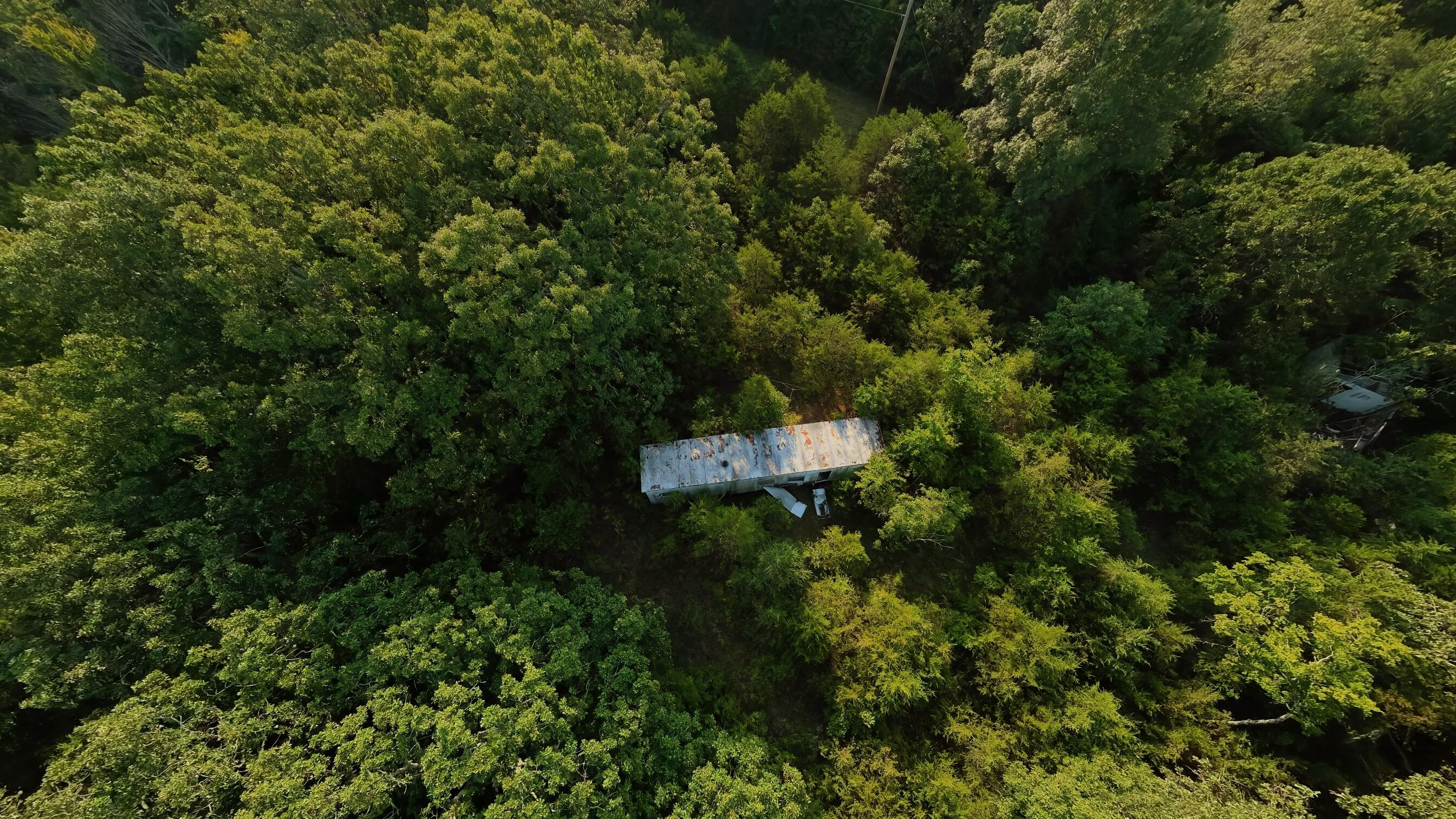 Photo 9 - Land for sale – 000 E County Road 646   Theodosia, MO