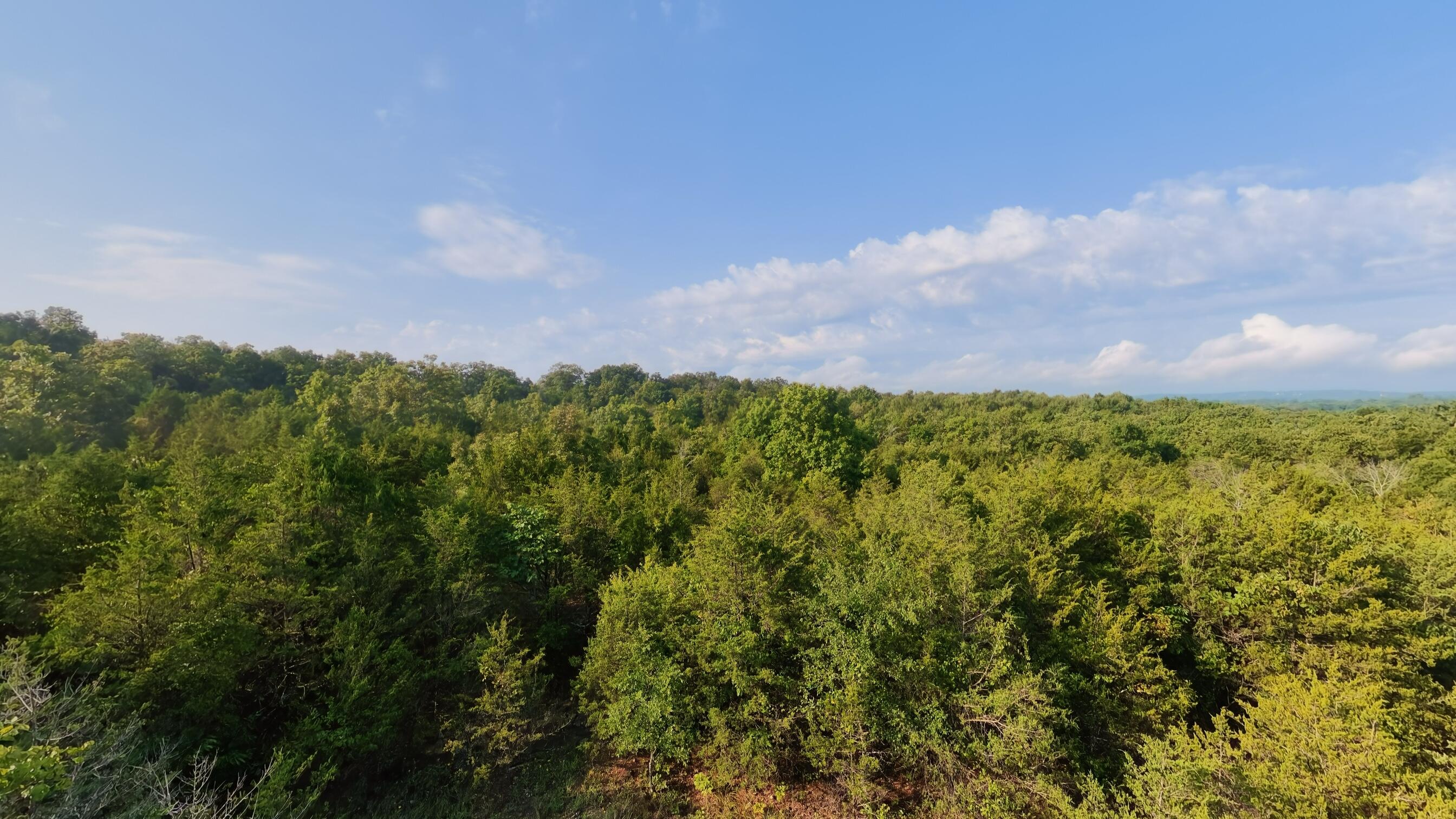 Photo 23 - Land for sale – 000 E County Road 646   Theodosia, MO