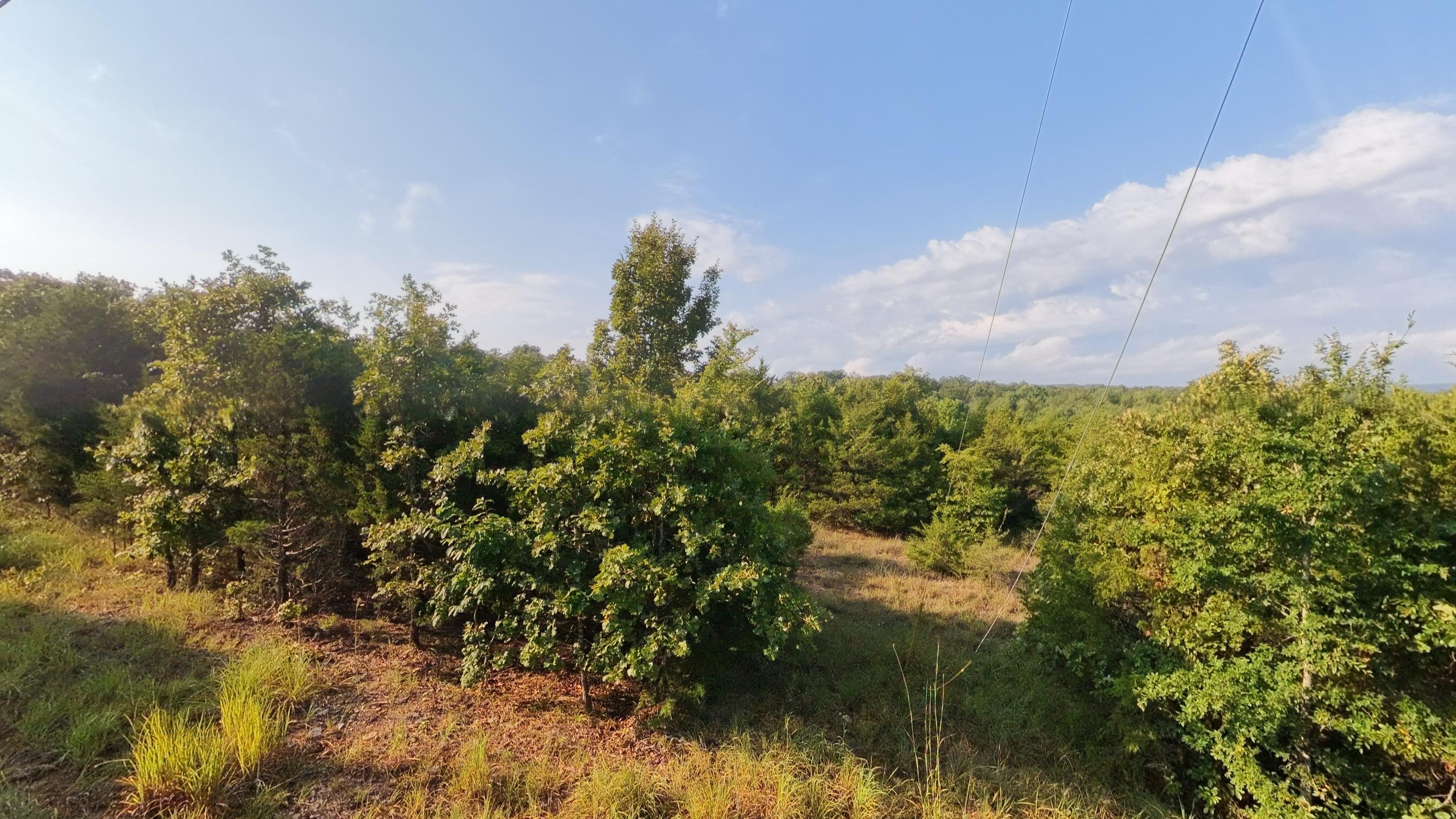 Photo 19 - Land for sale – 000 E County Road 646   Theodosia, MO