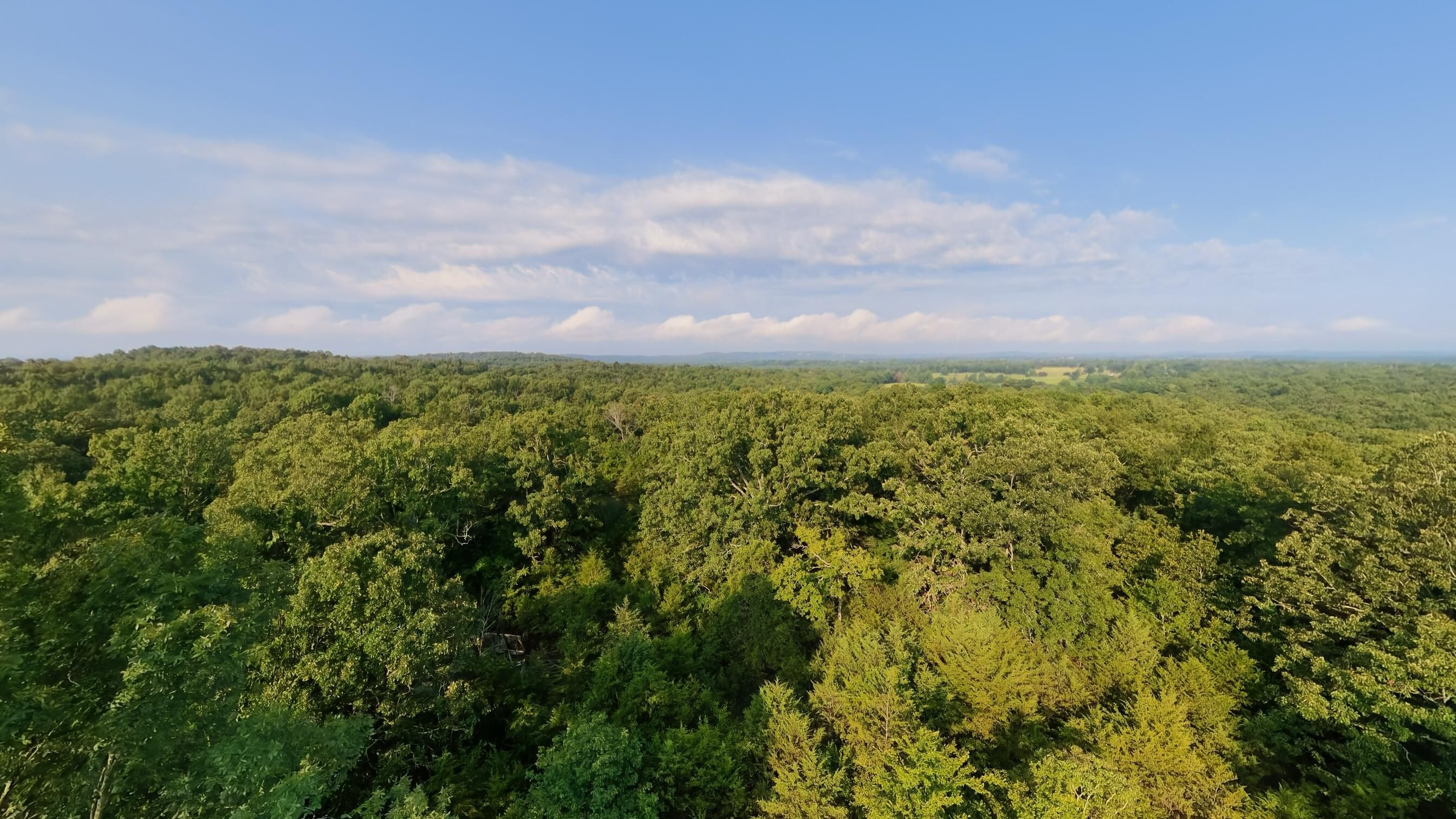 Photo 8 - Land for sale – 000 E County Road 646   Theodosia, MO