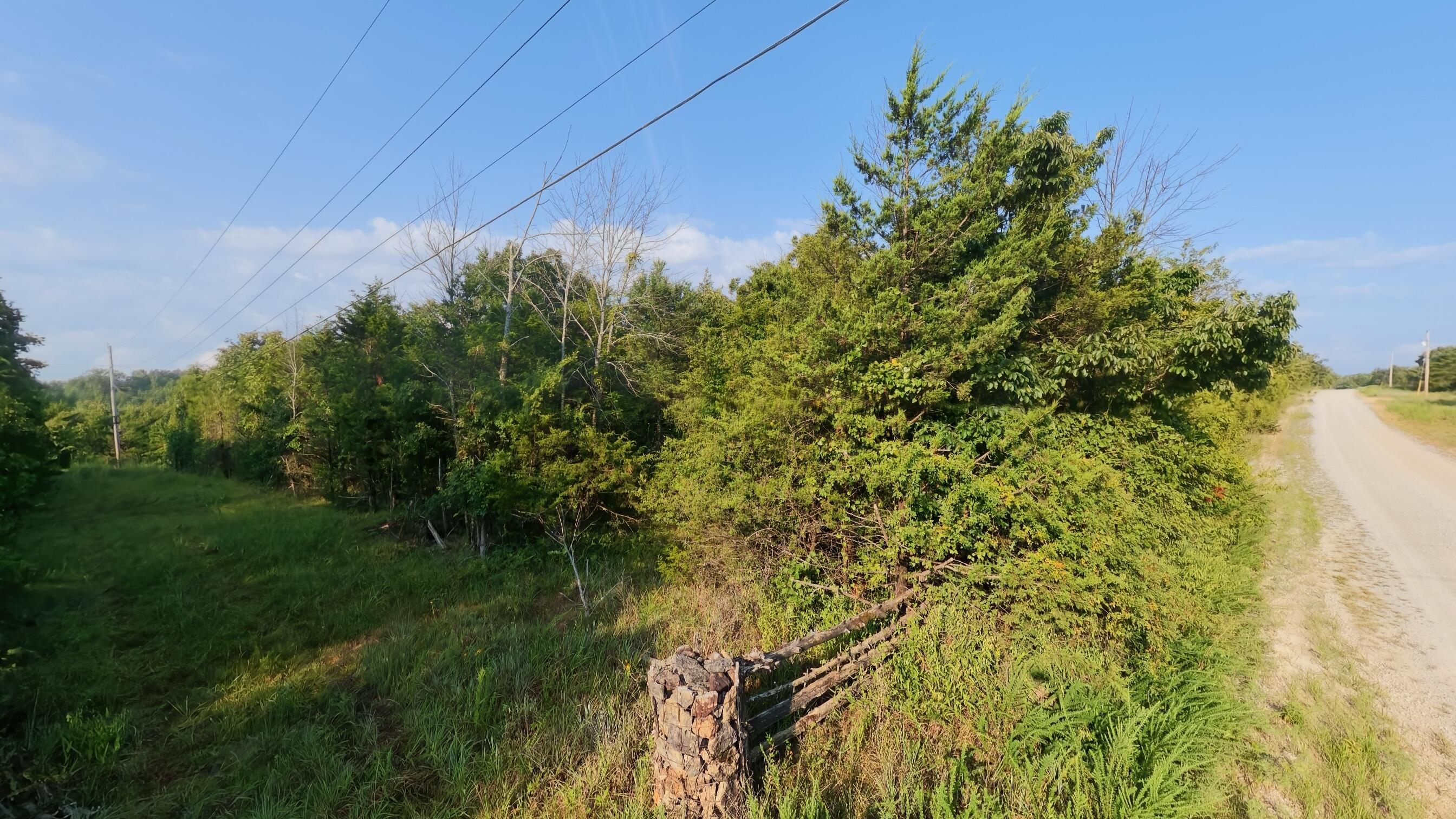 Photo 13 - Land for sale – 000 E County Road 646   Theodosia, MO