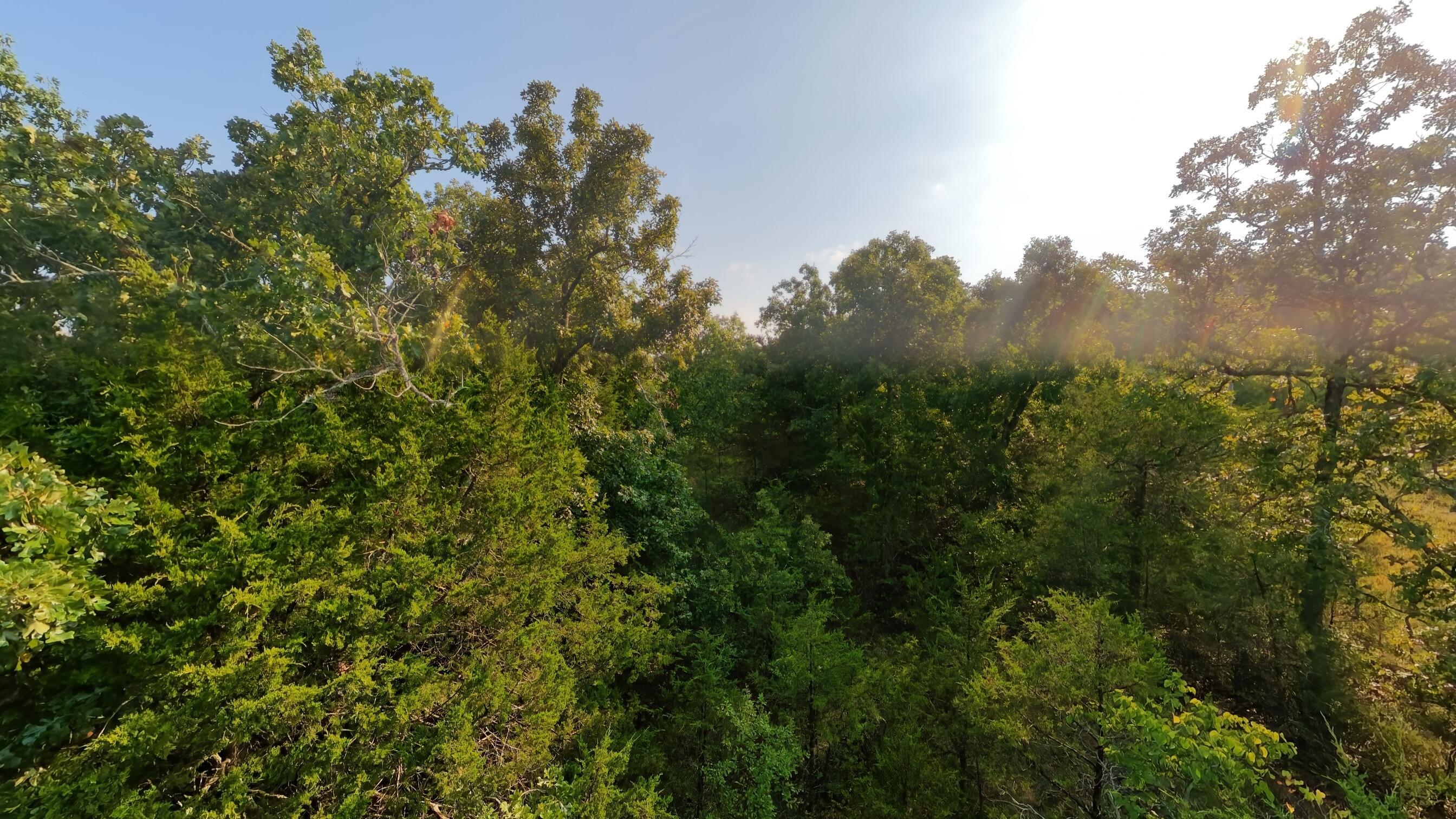 Photo 32 - Land for sale – 000 E County Road 646   Theodosia, MO