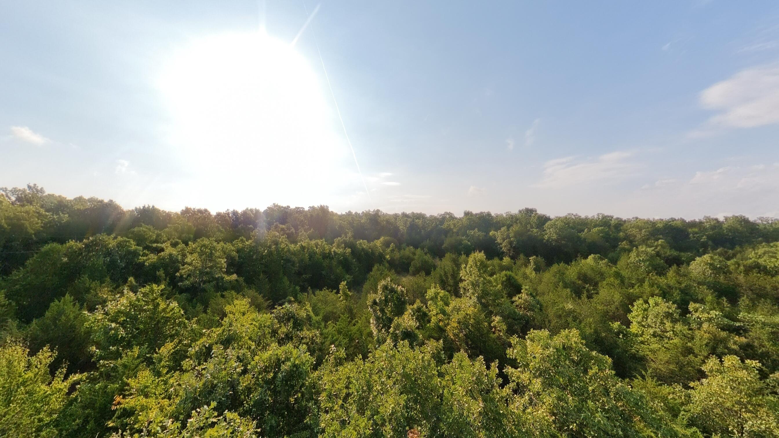 Photo 22 - Land for sale – 000 E County Road 646   Theodosia, MO