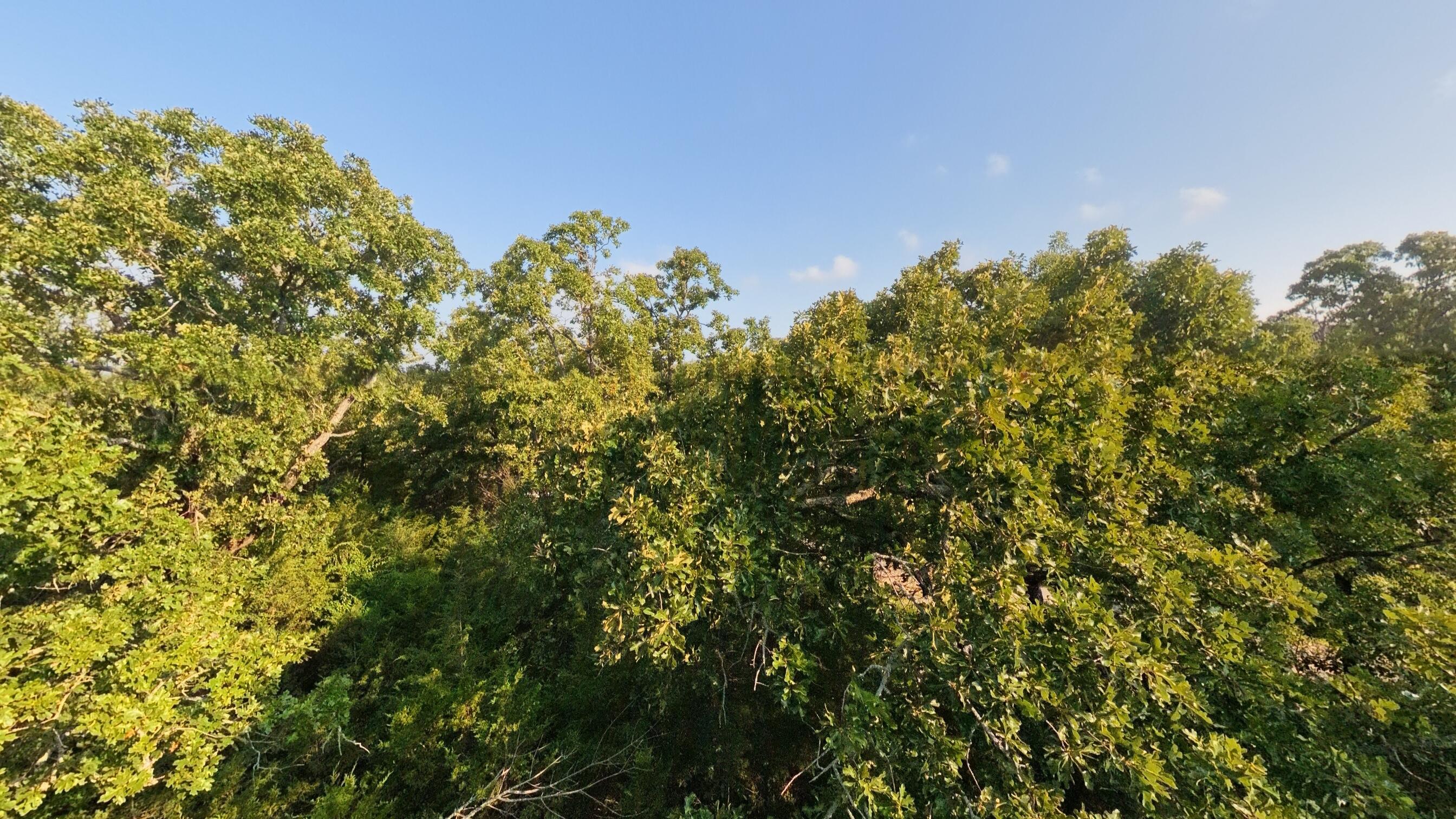 Photo 34 - Land for sale – 000 E County Road 646   Theodosia, MO